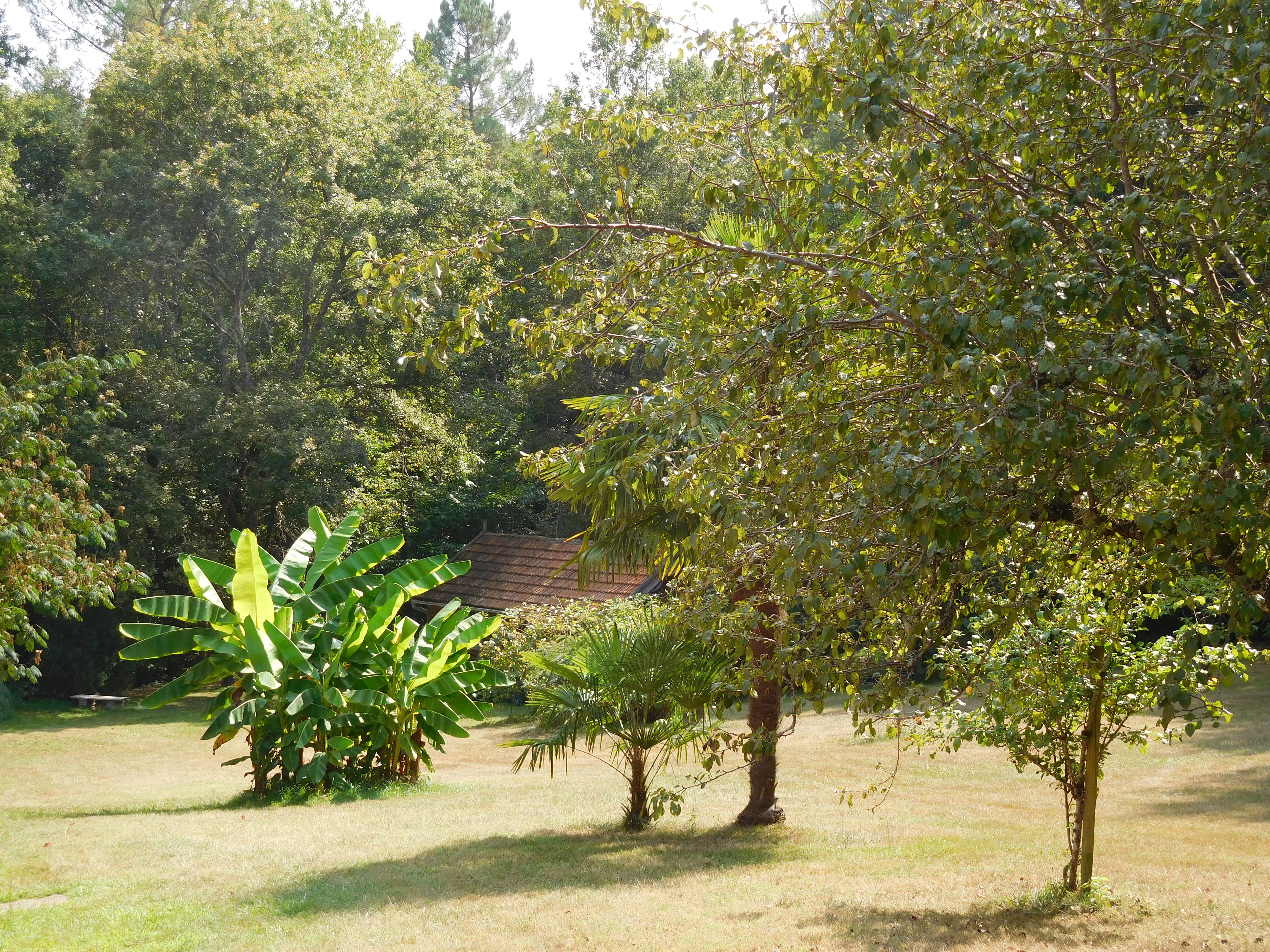 Casa nella natura a Prayssac