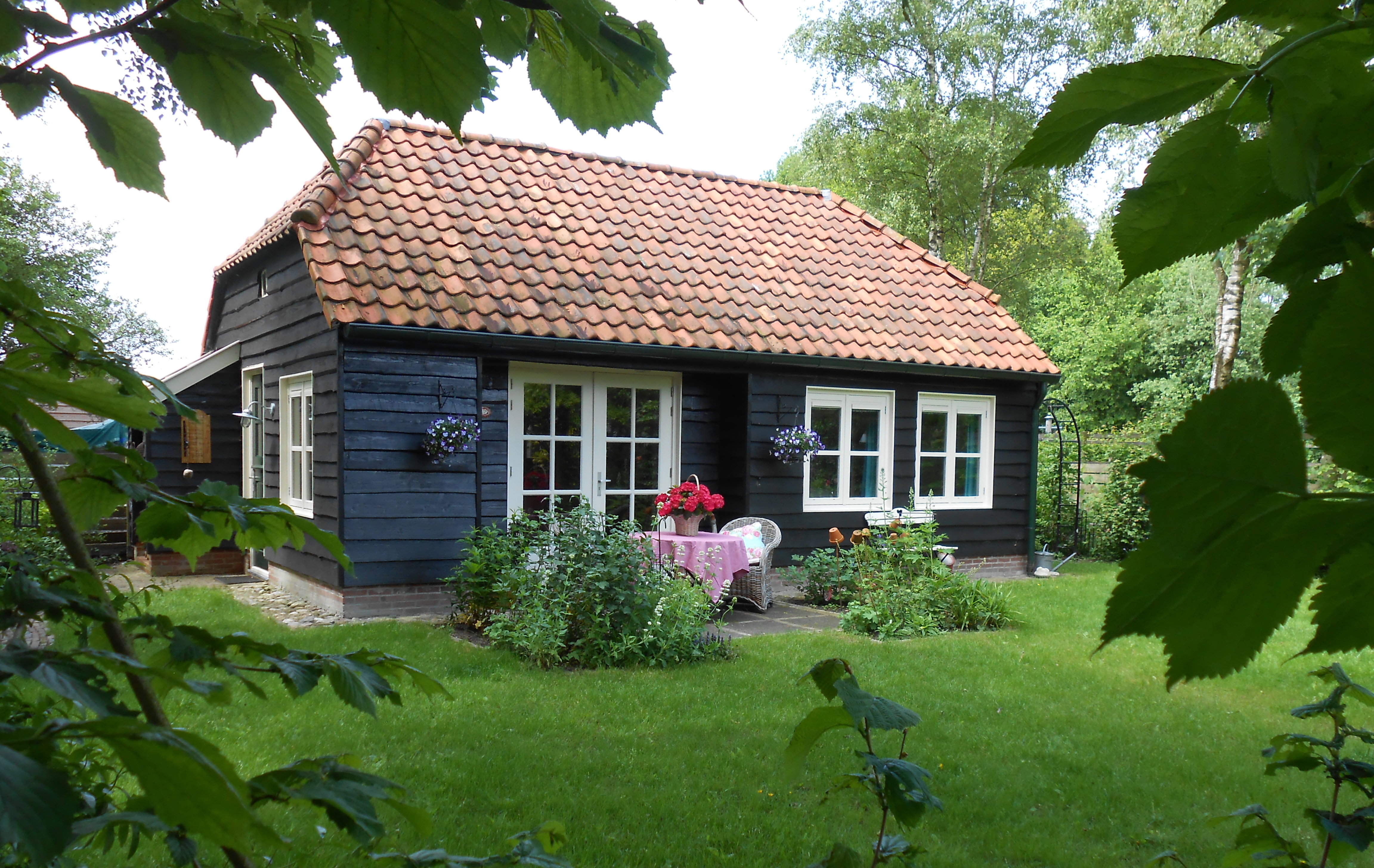 Maison nature à Beilen