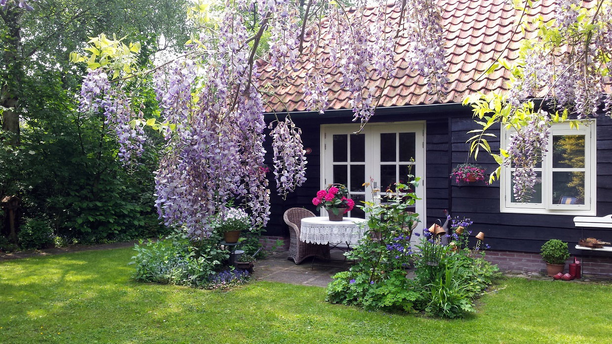Maison nature à Beilen