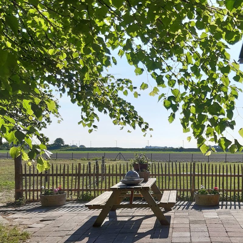 Natuurhuisje in Arnemuiden