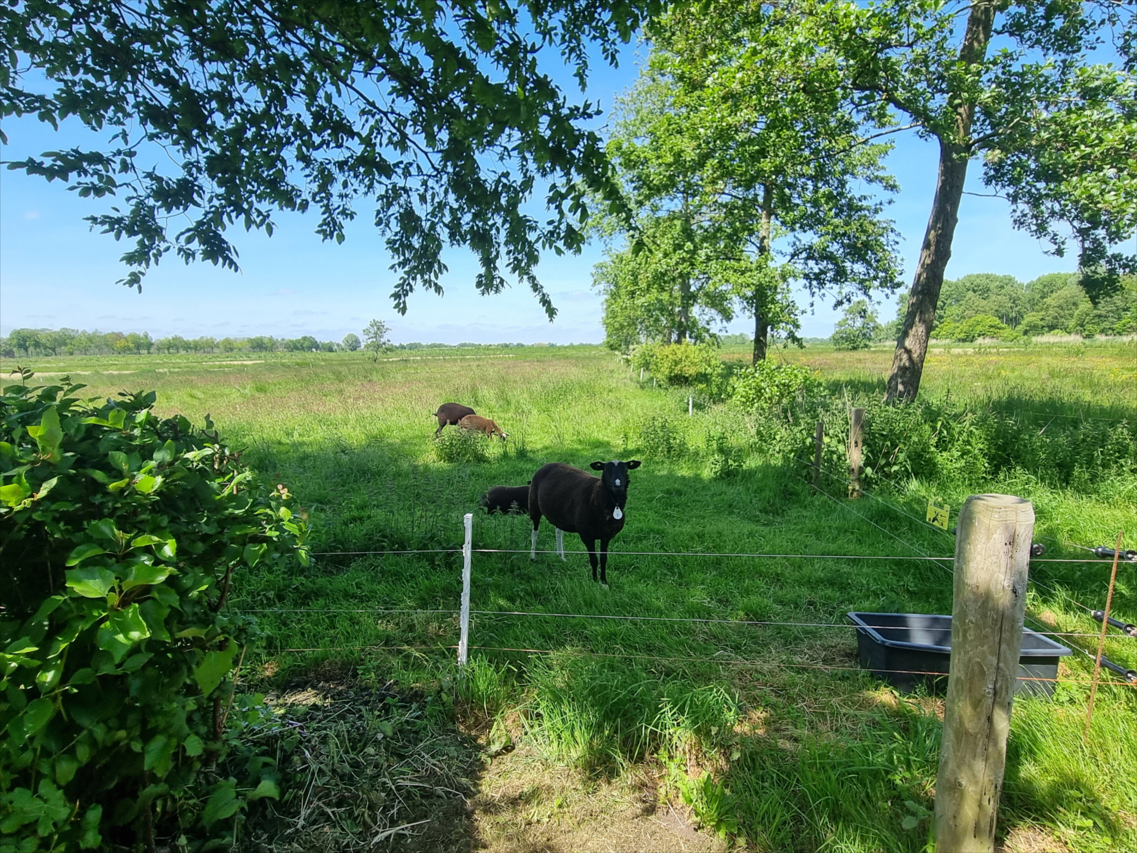 Naturhäuschen in Boerakker