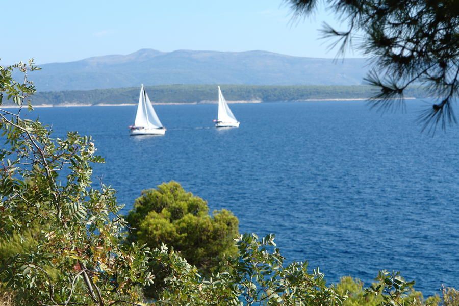 - image: 11