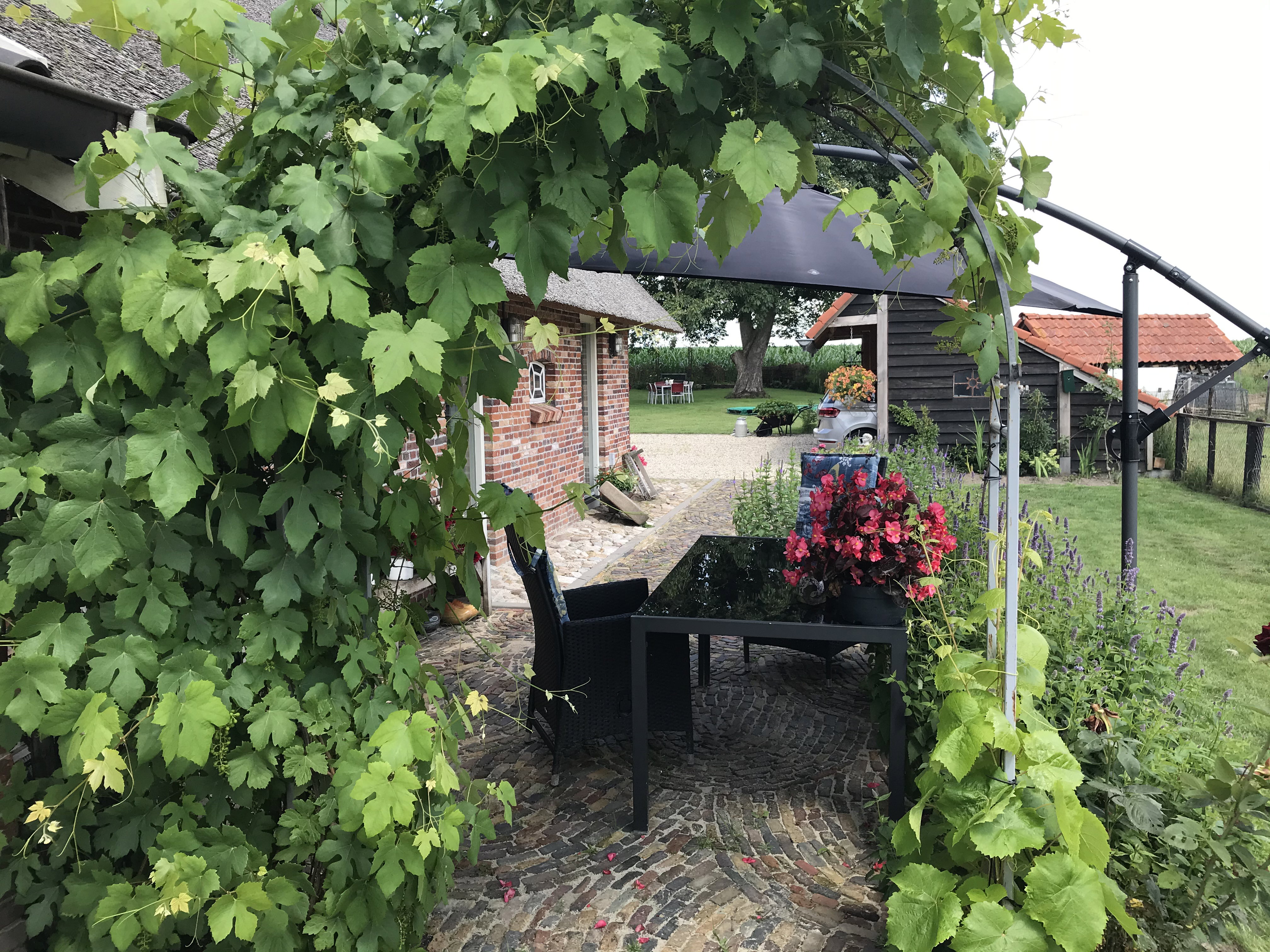 Naturhäuschen in Markelo