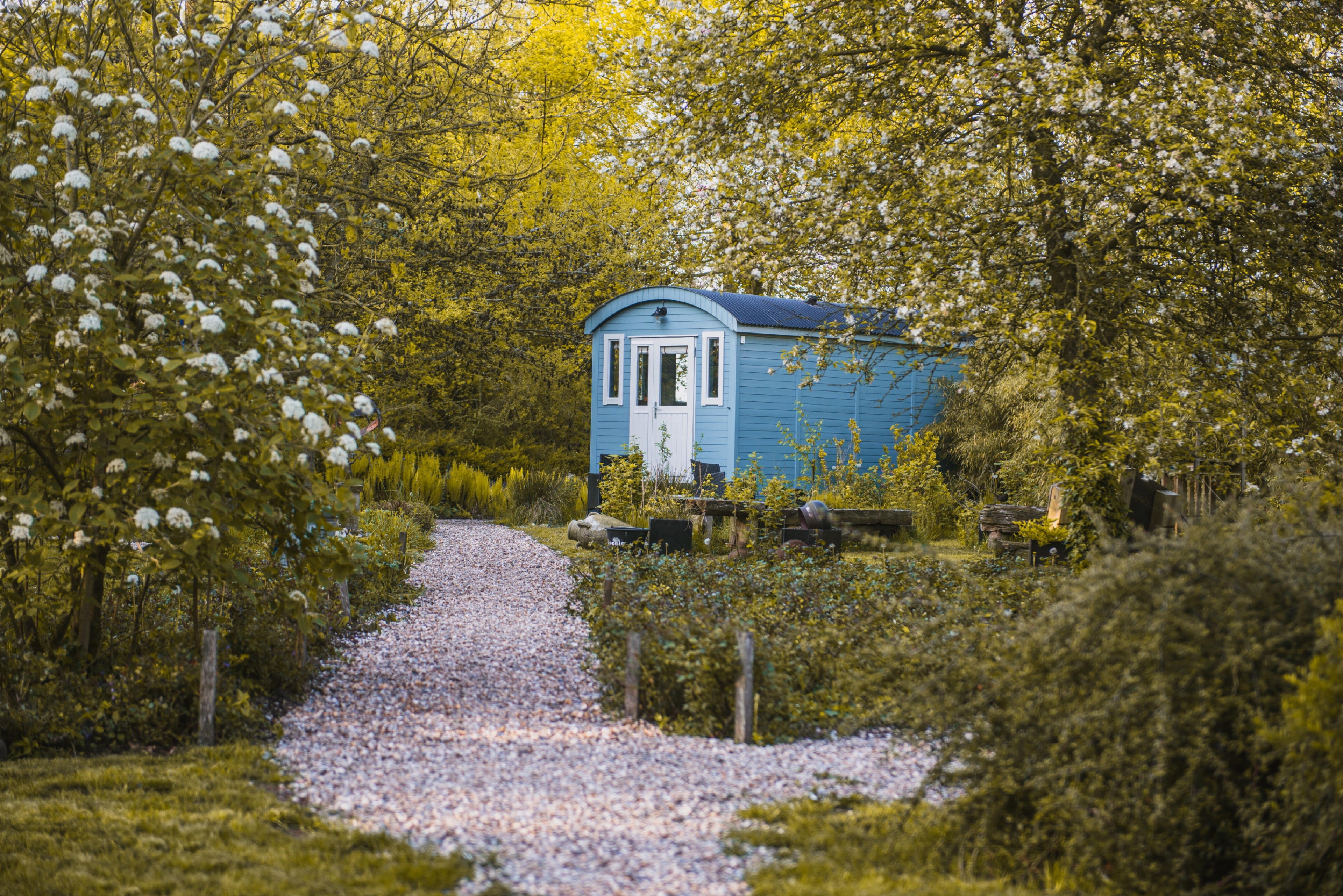 Nature house in Waskemeer