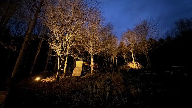 - image: 20