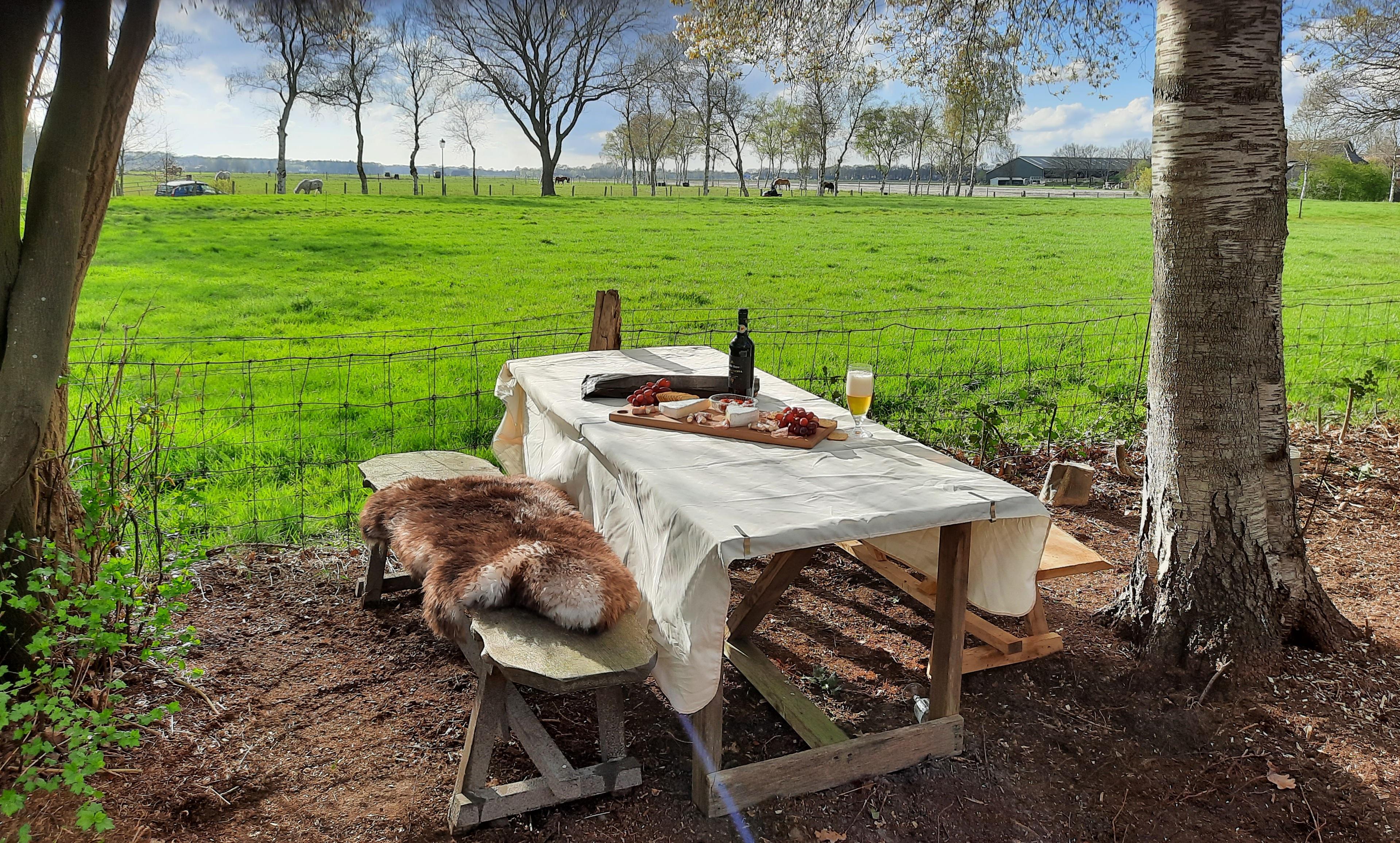 Natuurhuisje in Dwingeloo
