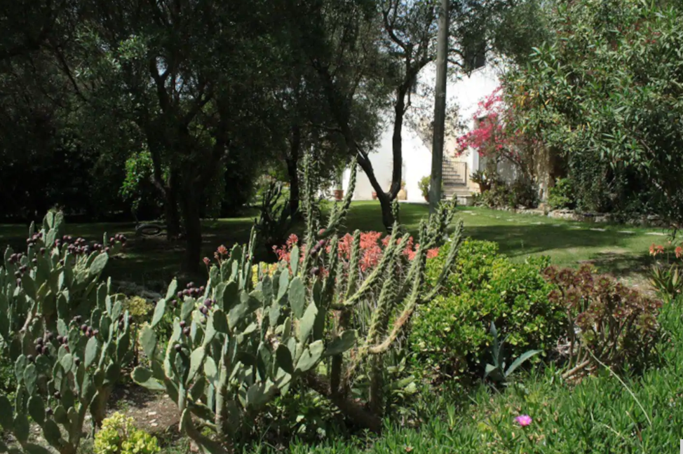 - image: 41