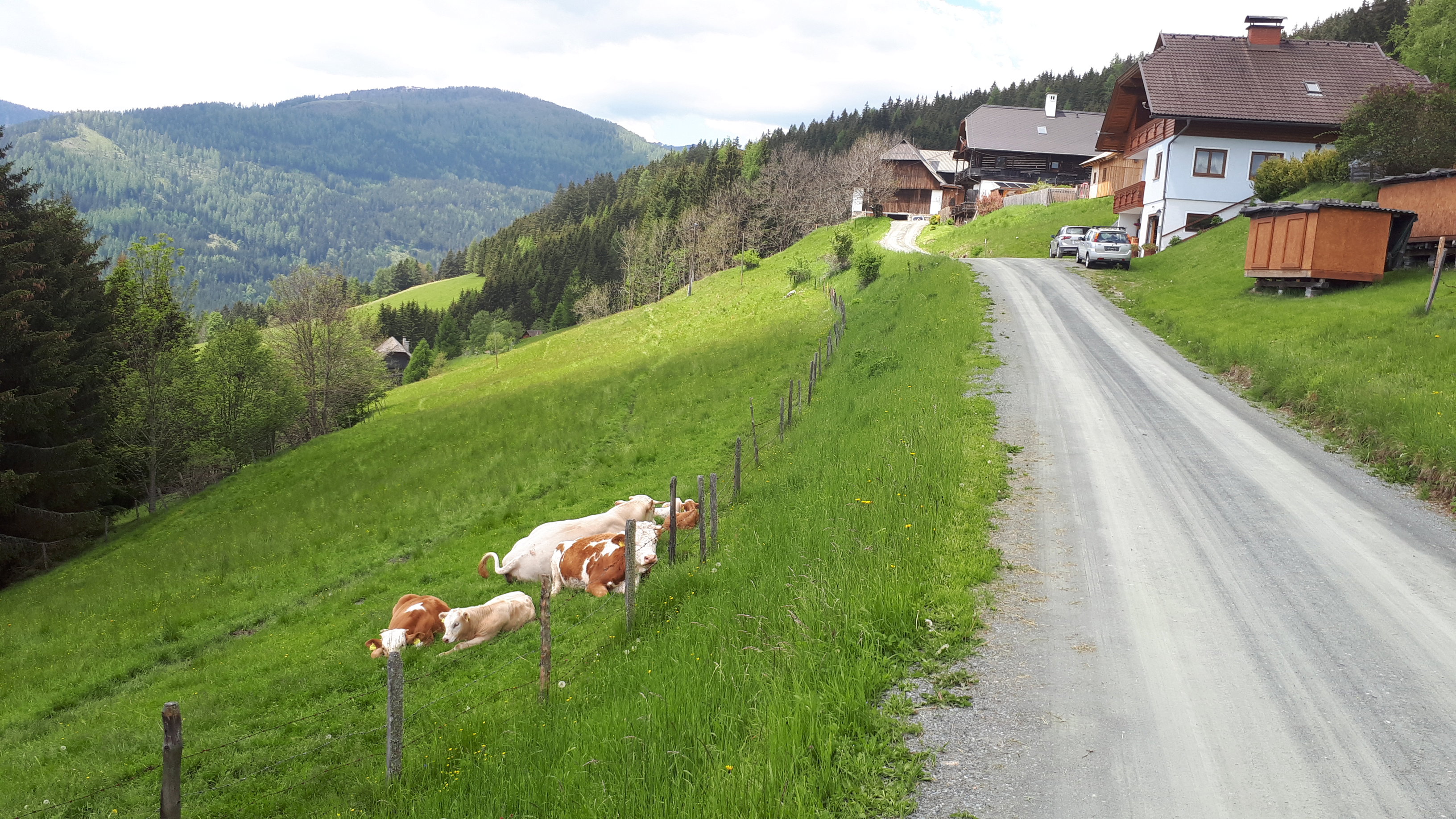 Naturhäuschen in Gnesau