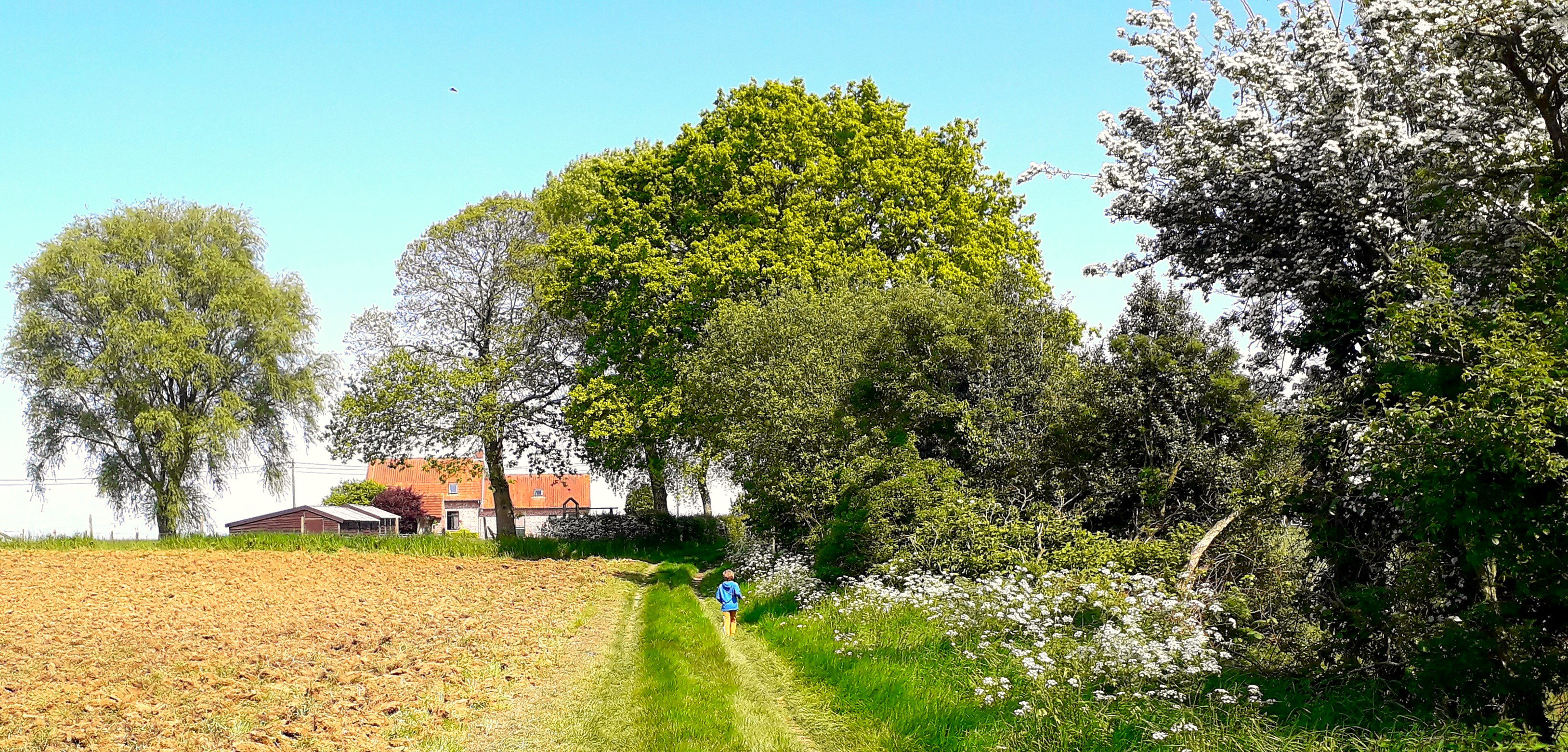 Naturhäuschen in Heuvelland