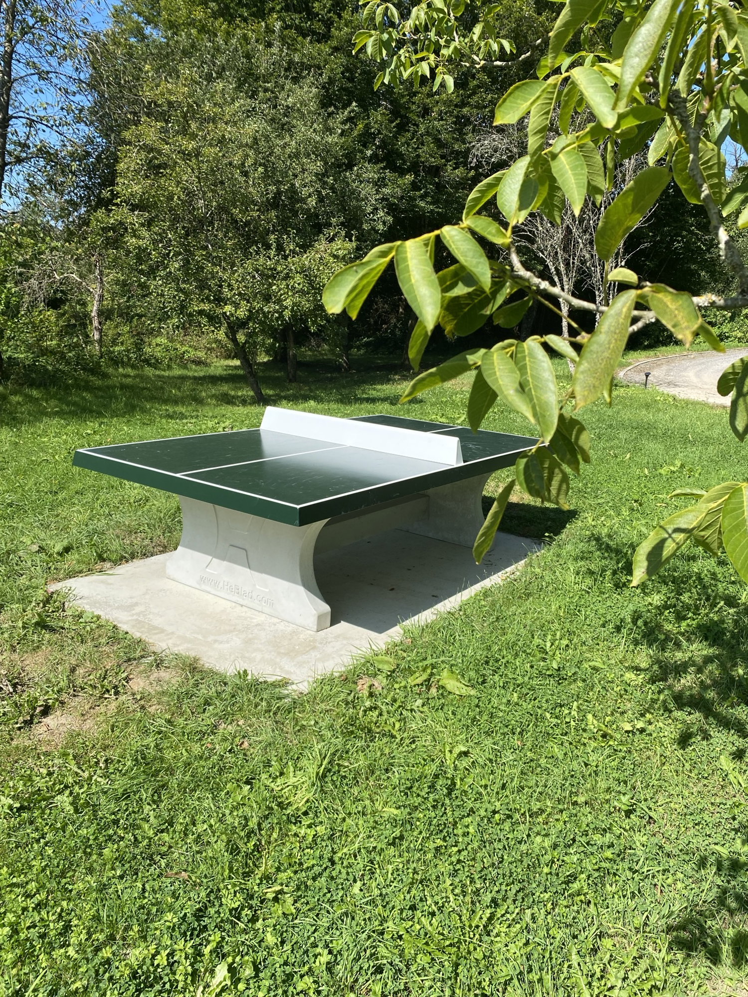 - image: 16