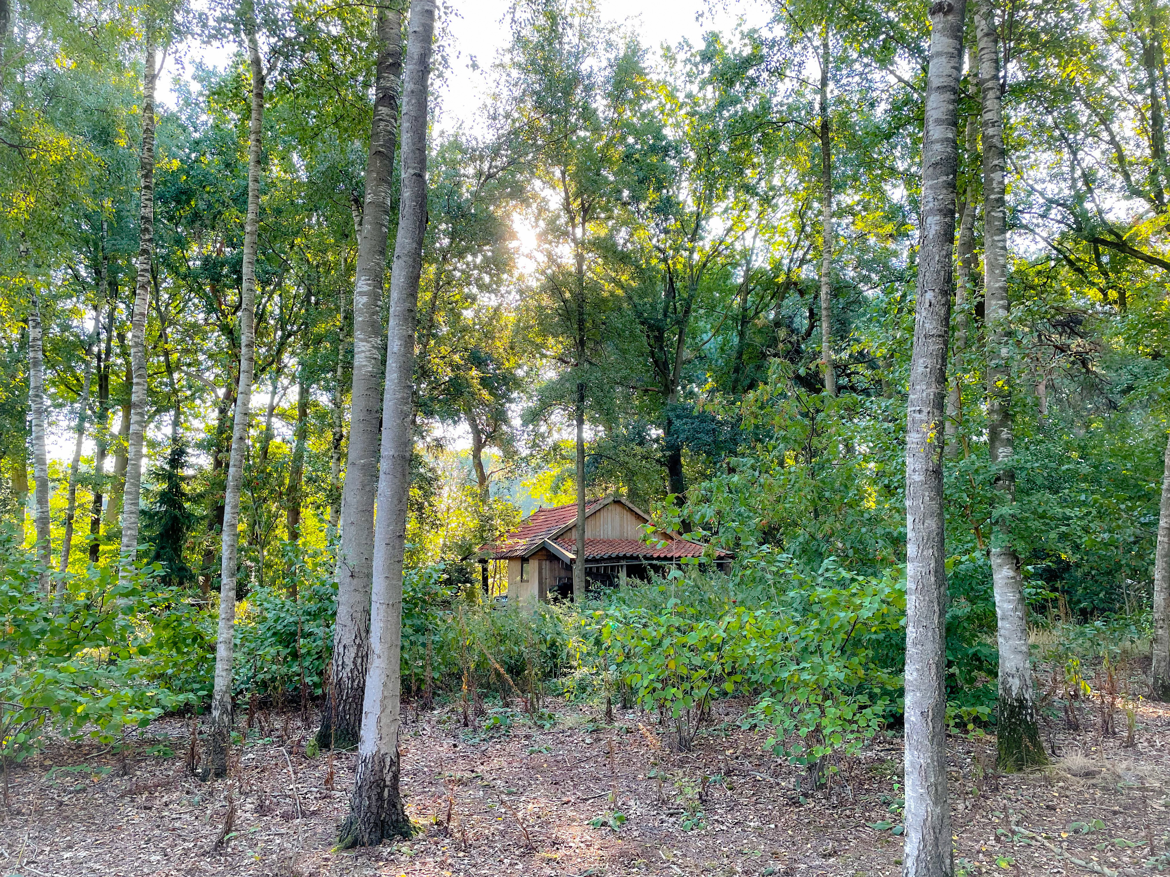 Naturhäuschen in Zelhem