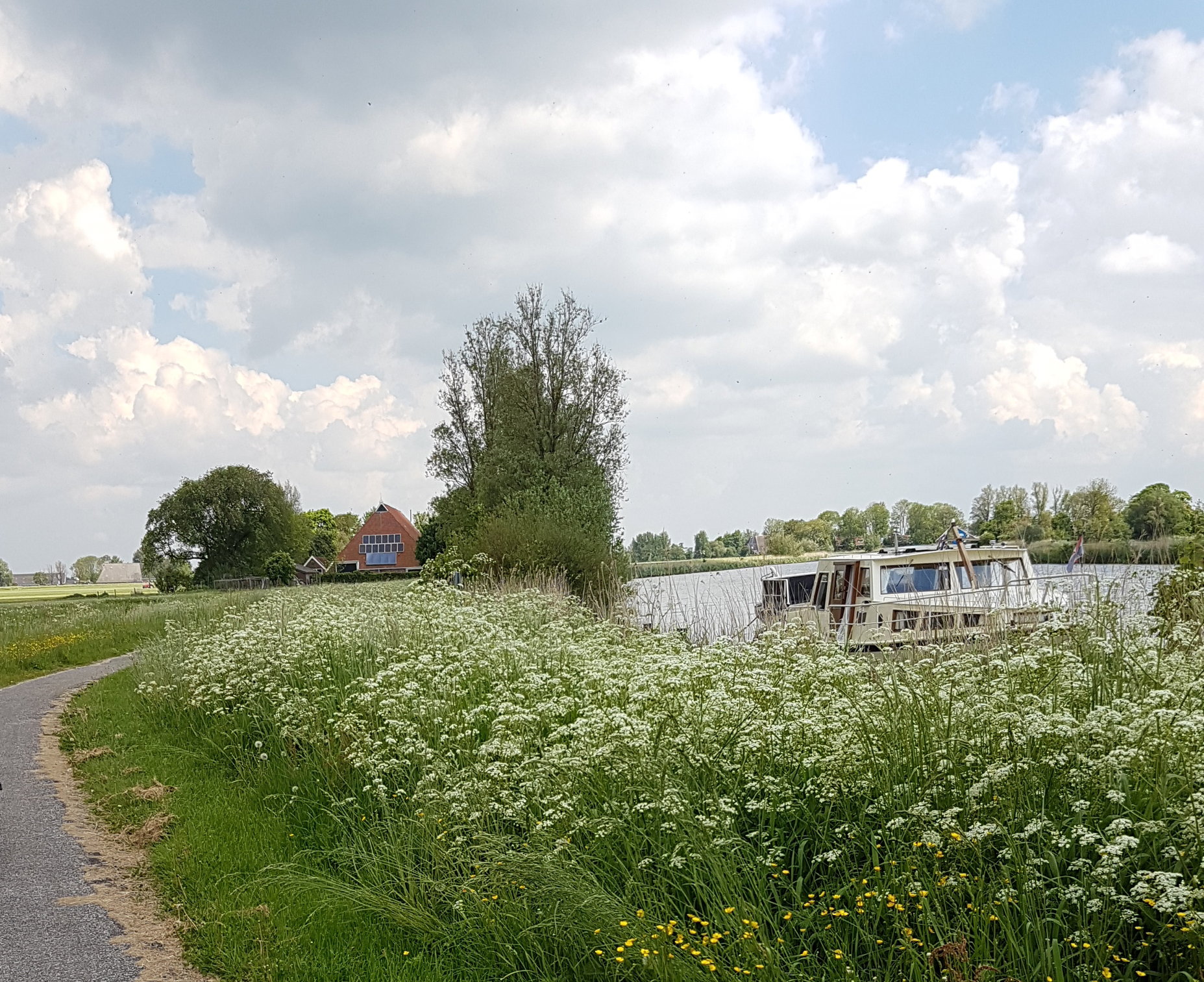 - image: 20