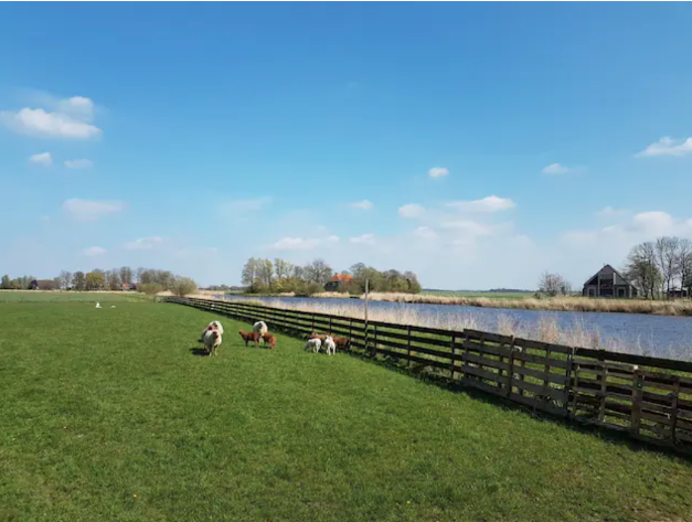 Natuurhuisje in Jelsum