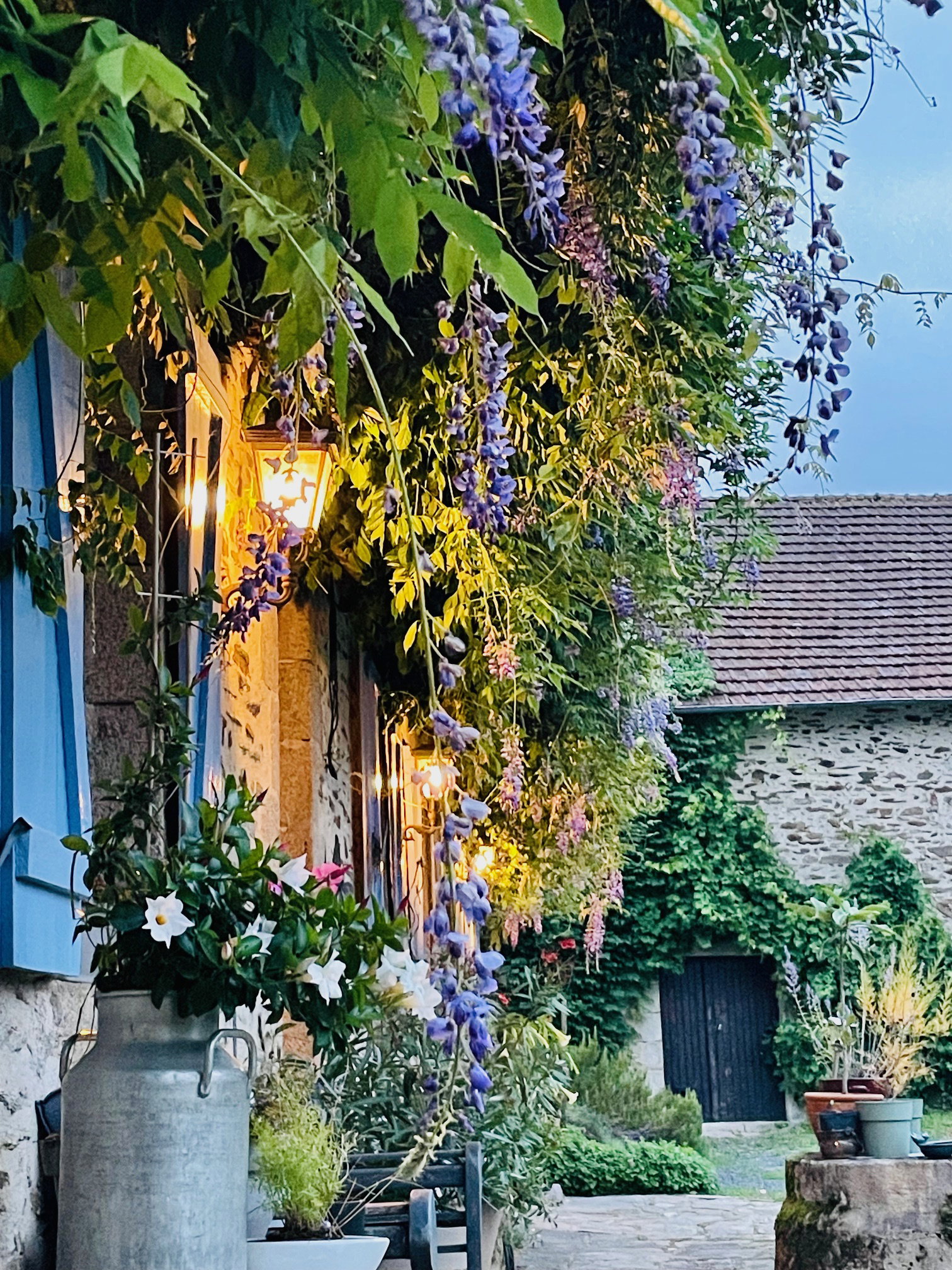 - image: 25