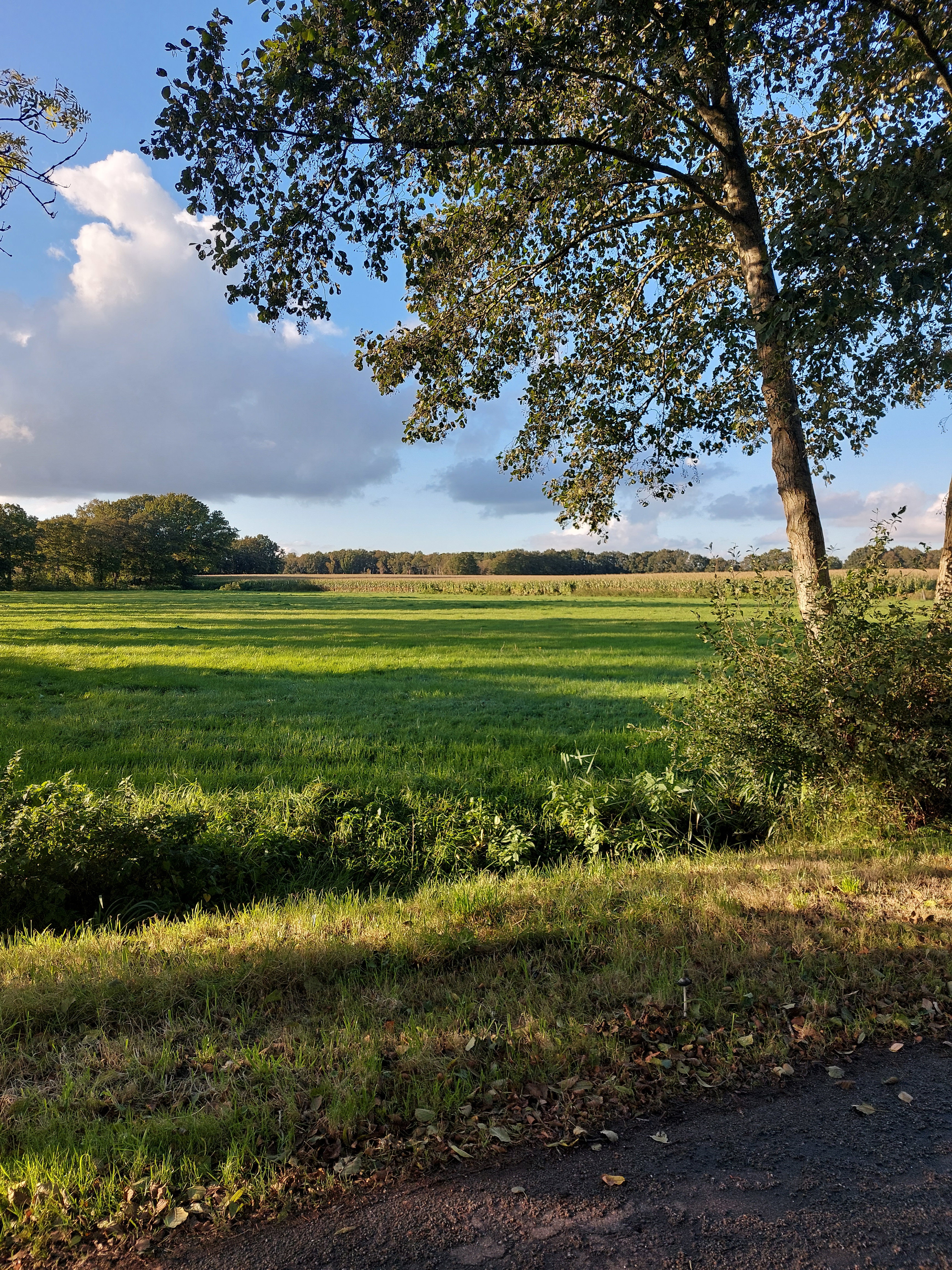 Maison nature à IJhorst