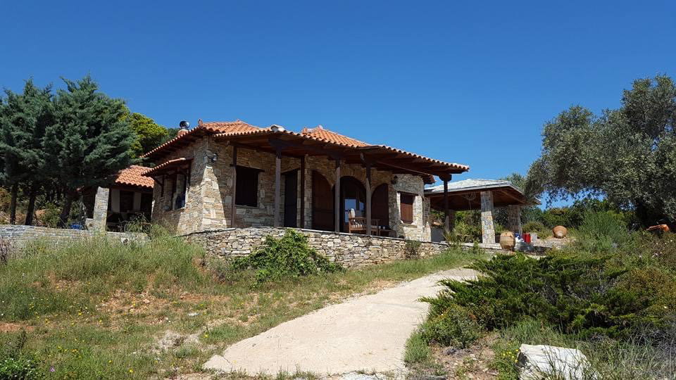 - image: 1