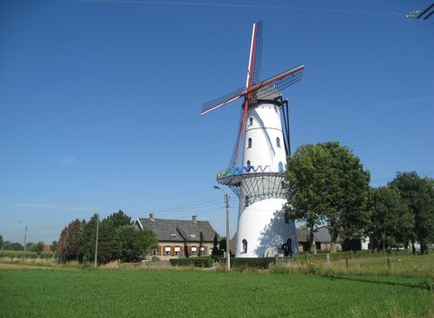 - image: 15