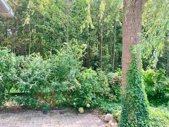 Casa nella natura a Hollandscheveld