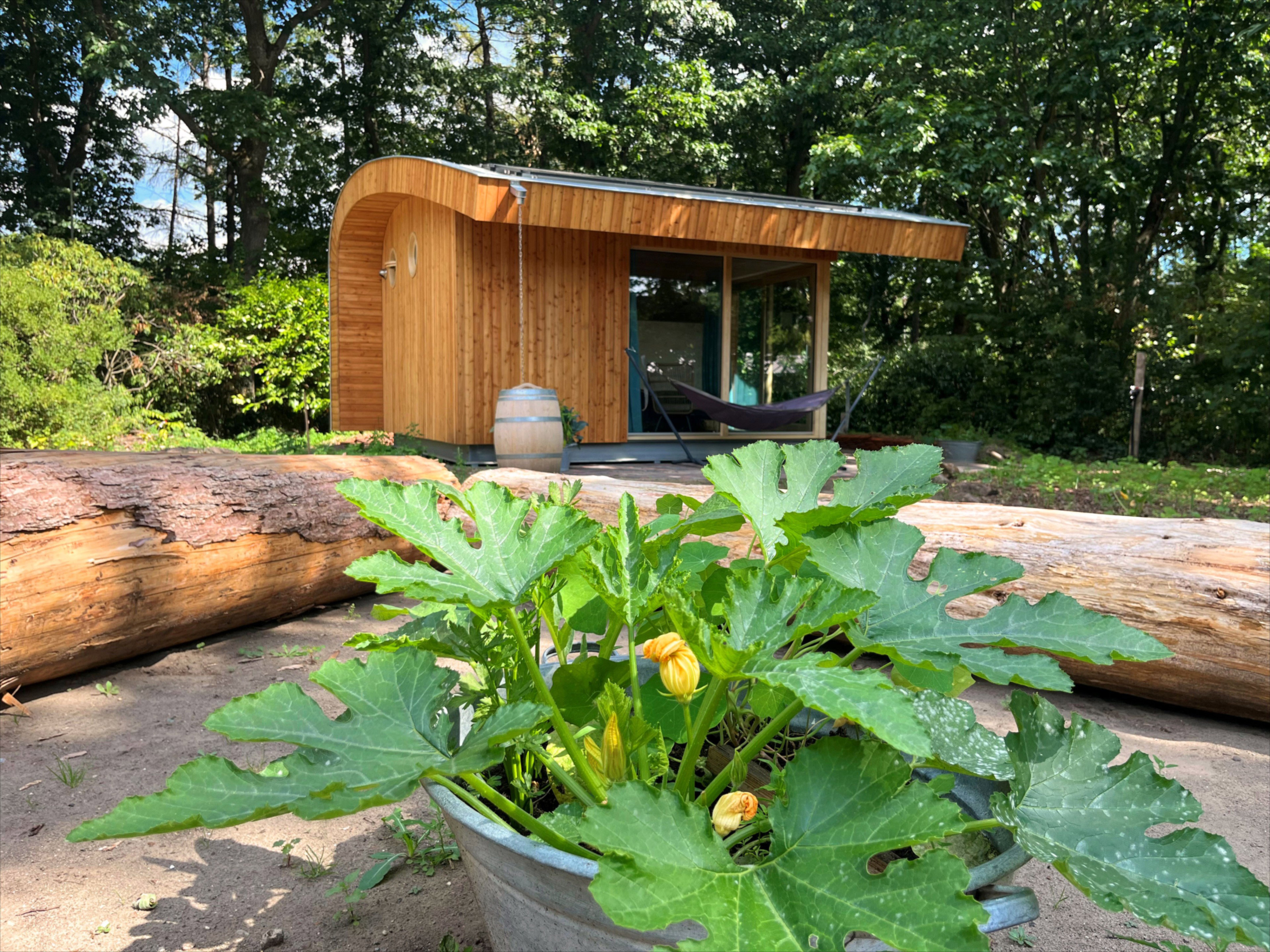 Natuurhuisje in Otterlo