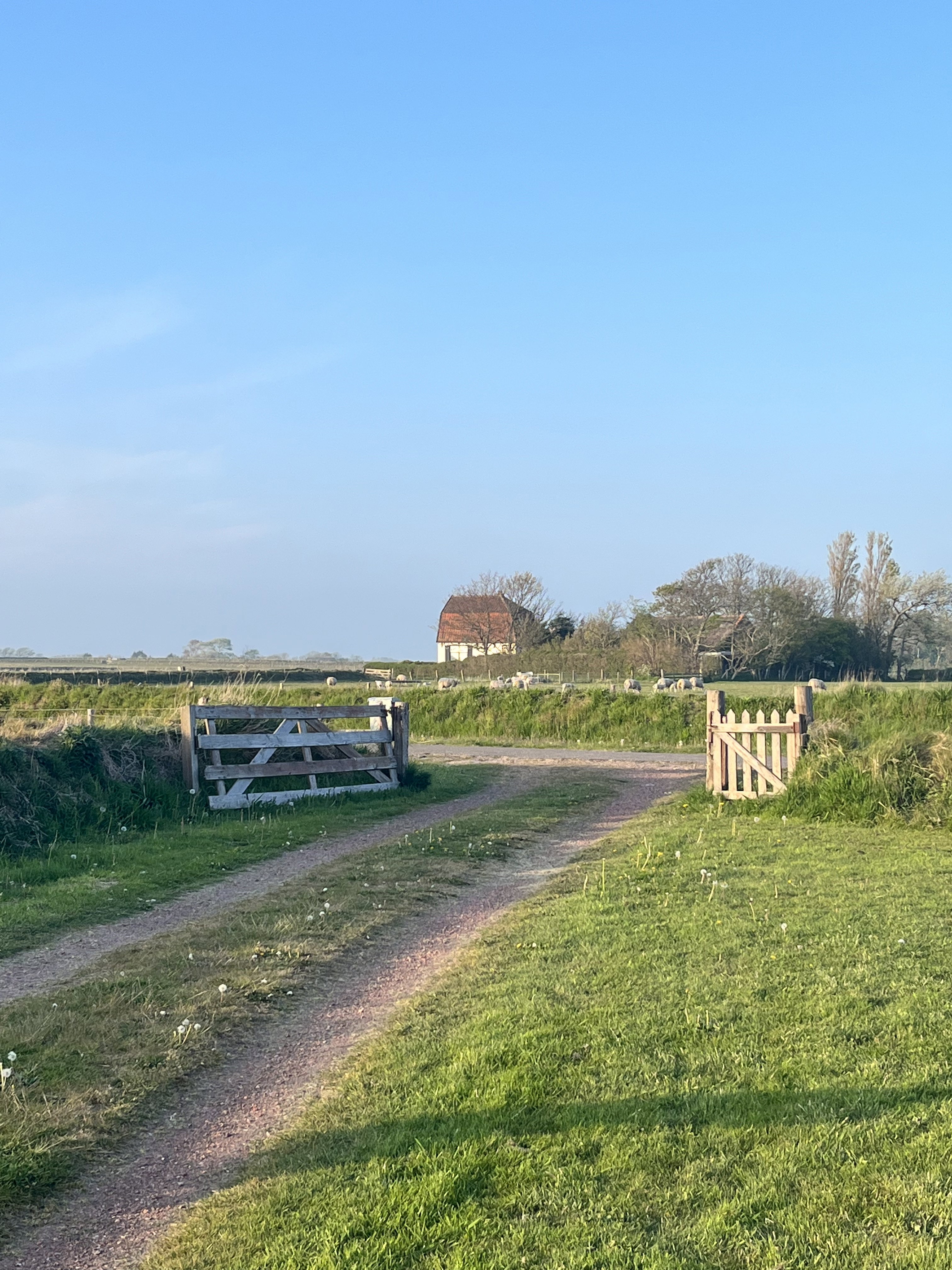 Natuurhuisje in Den Burg