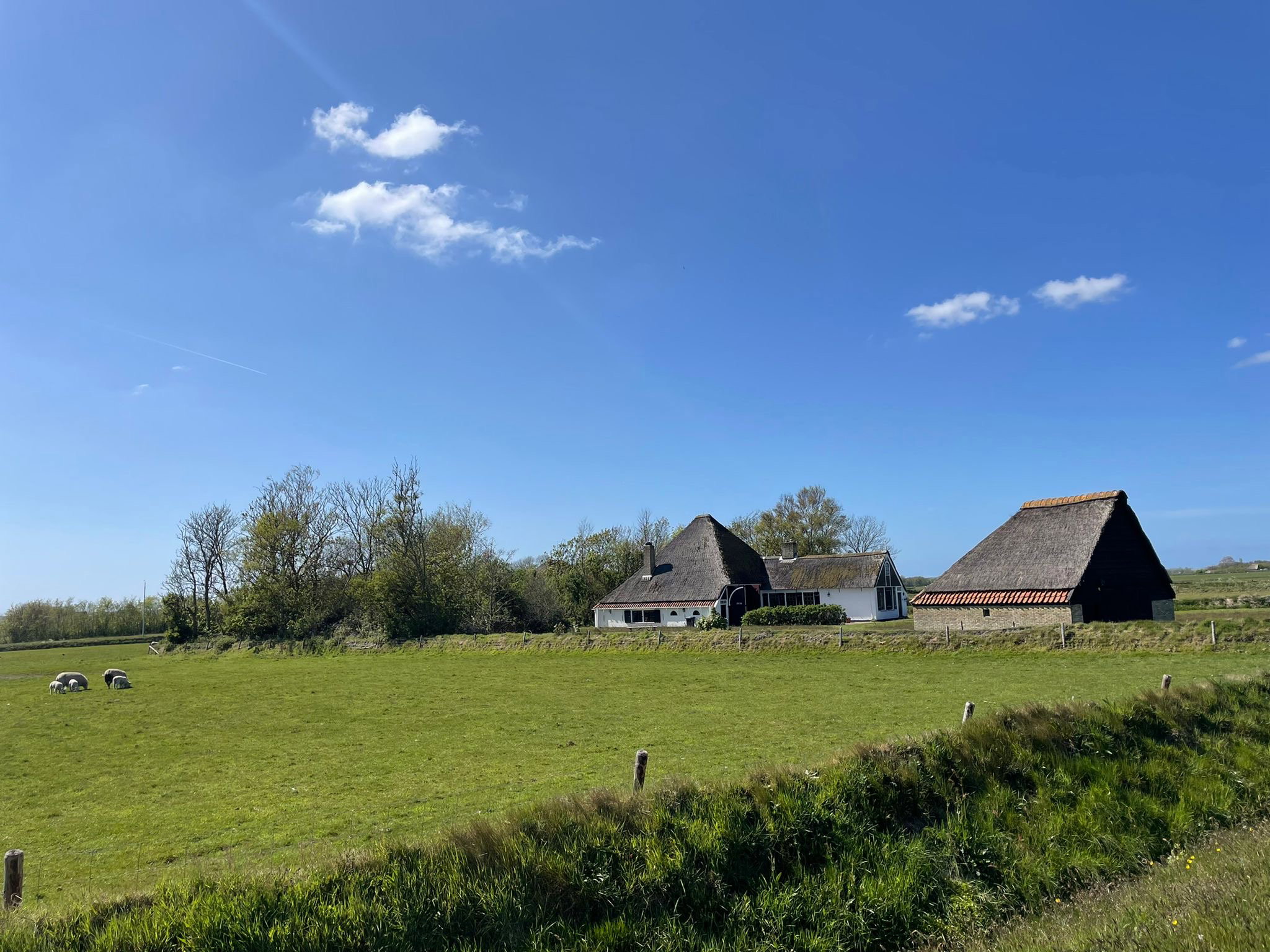 Natuurhuisje in Den Burg