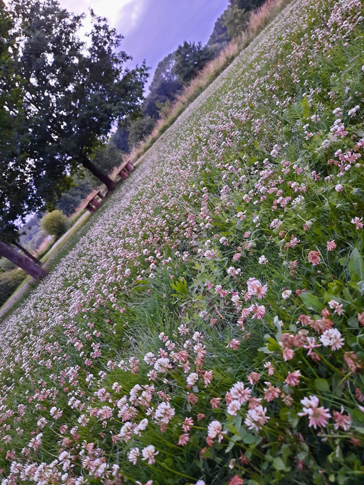 Natuurhuisje in Werchter