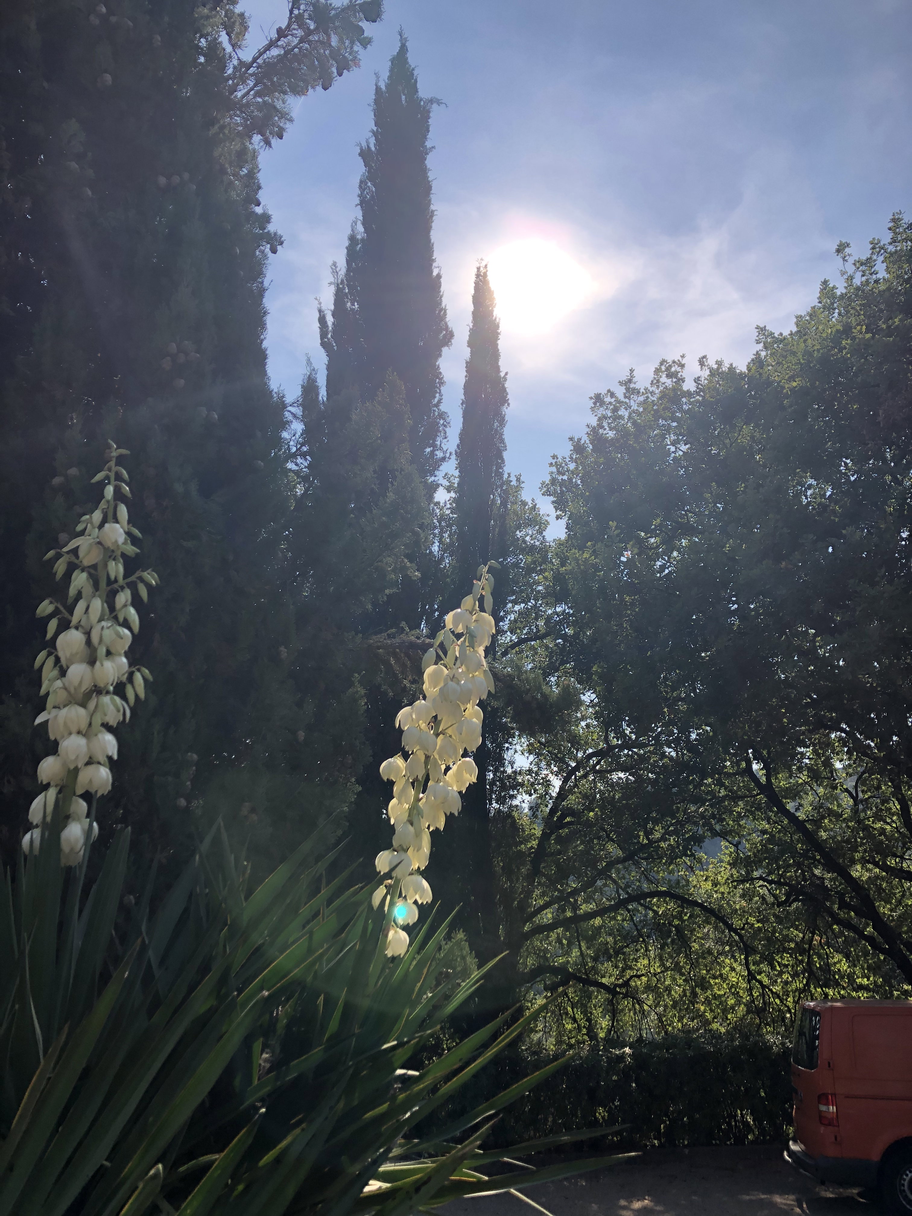 Naturhäuschen in Cagnes sur Mer