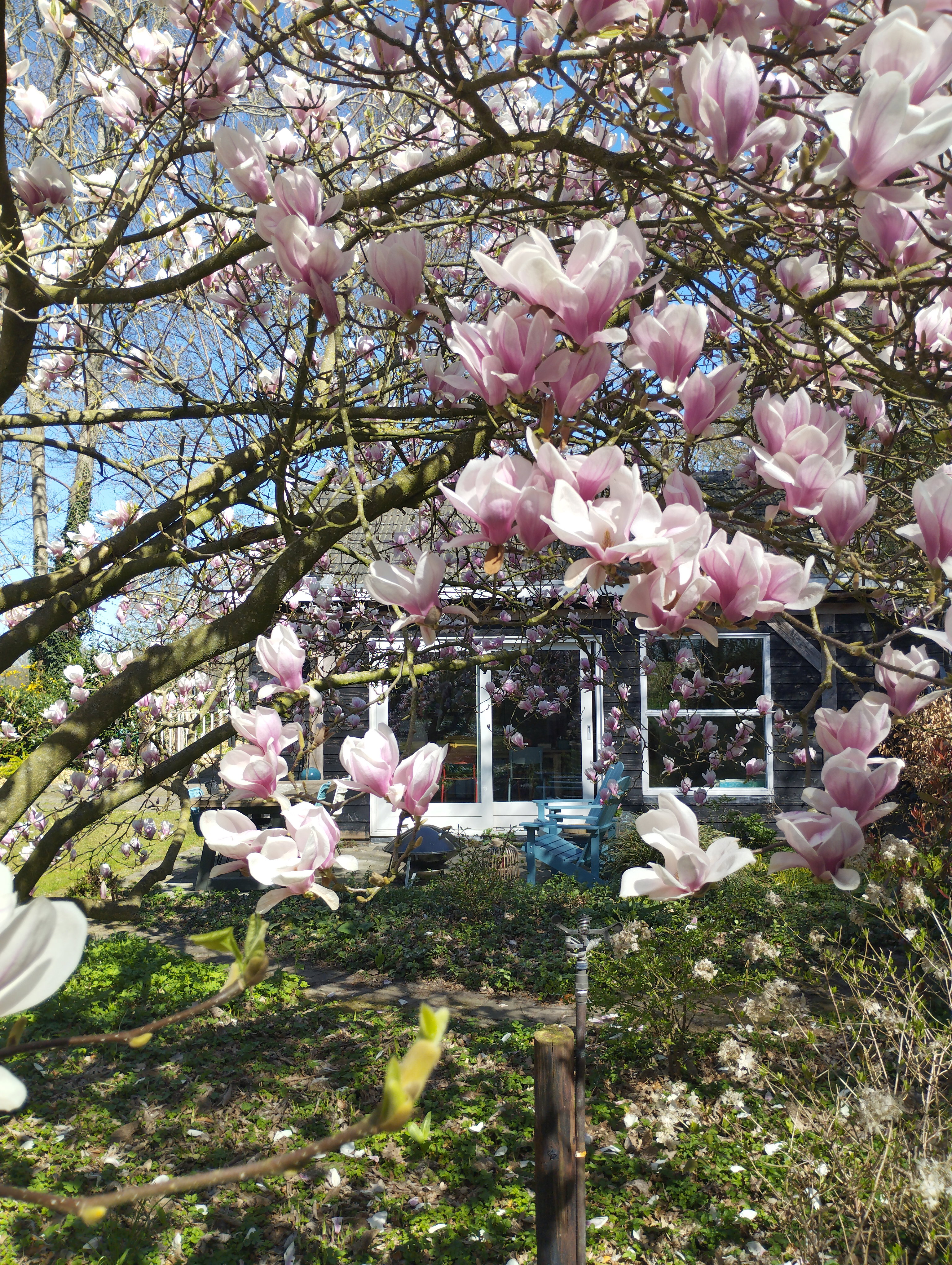 Casa nella natura a Wesepe