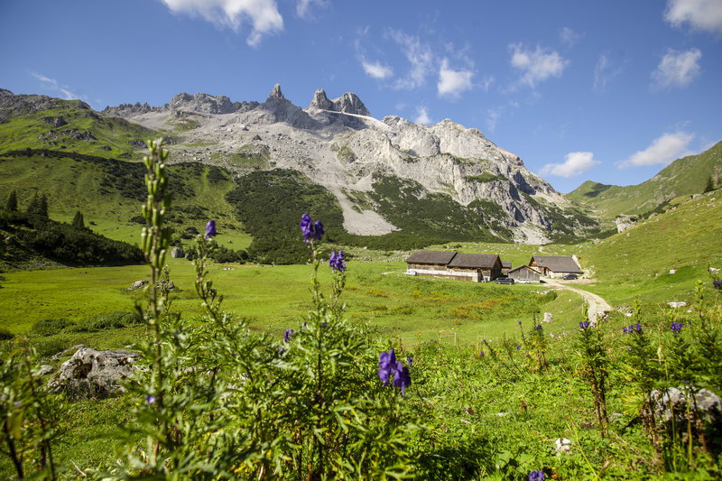- image: 23