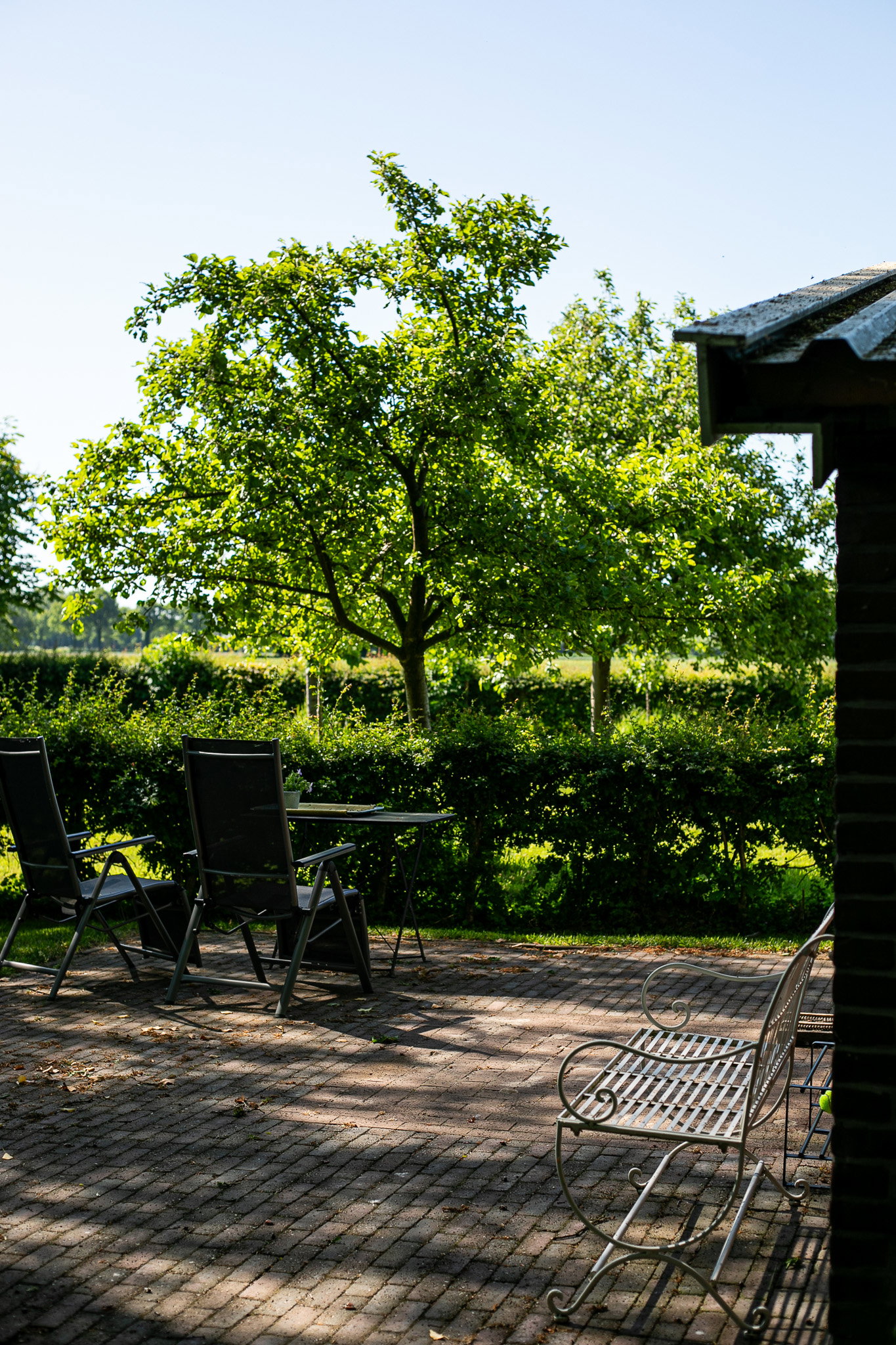- image: 21