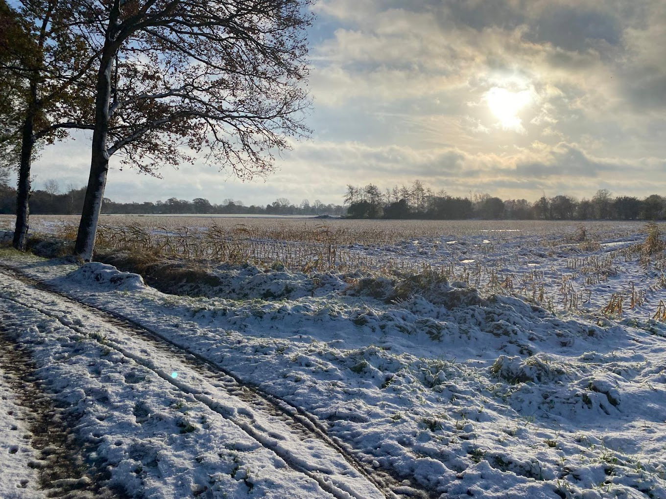 Naturhäuschen in Breedenbroek