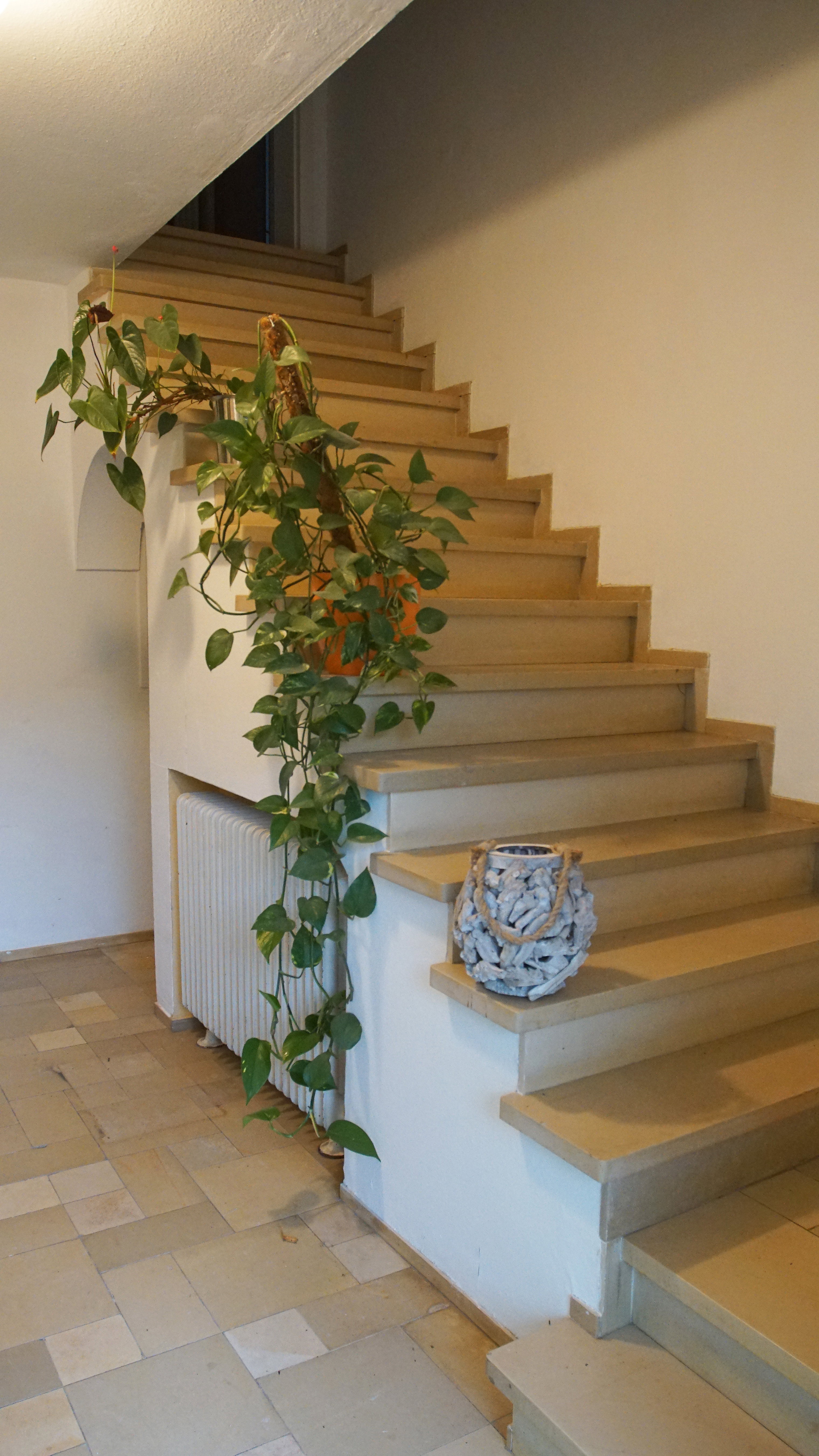 Natuurhuisje in Erkensruhr - Simmerath
