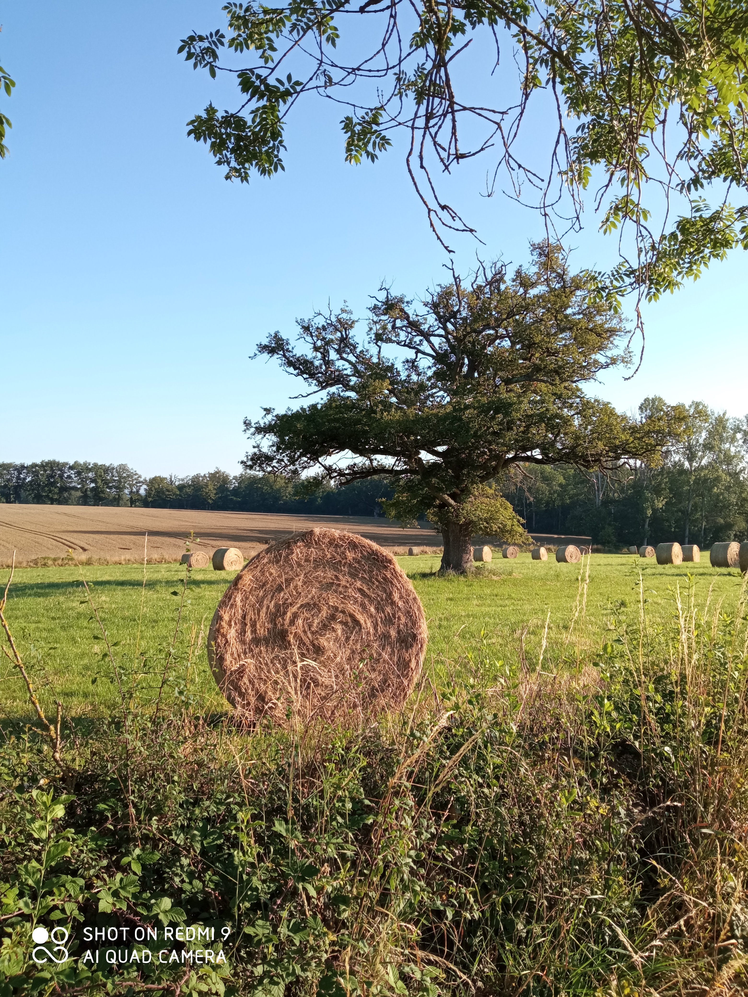 Natuurhuisje in Parsac-Rimondeix
