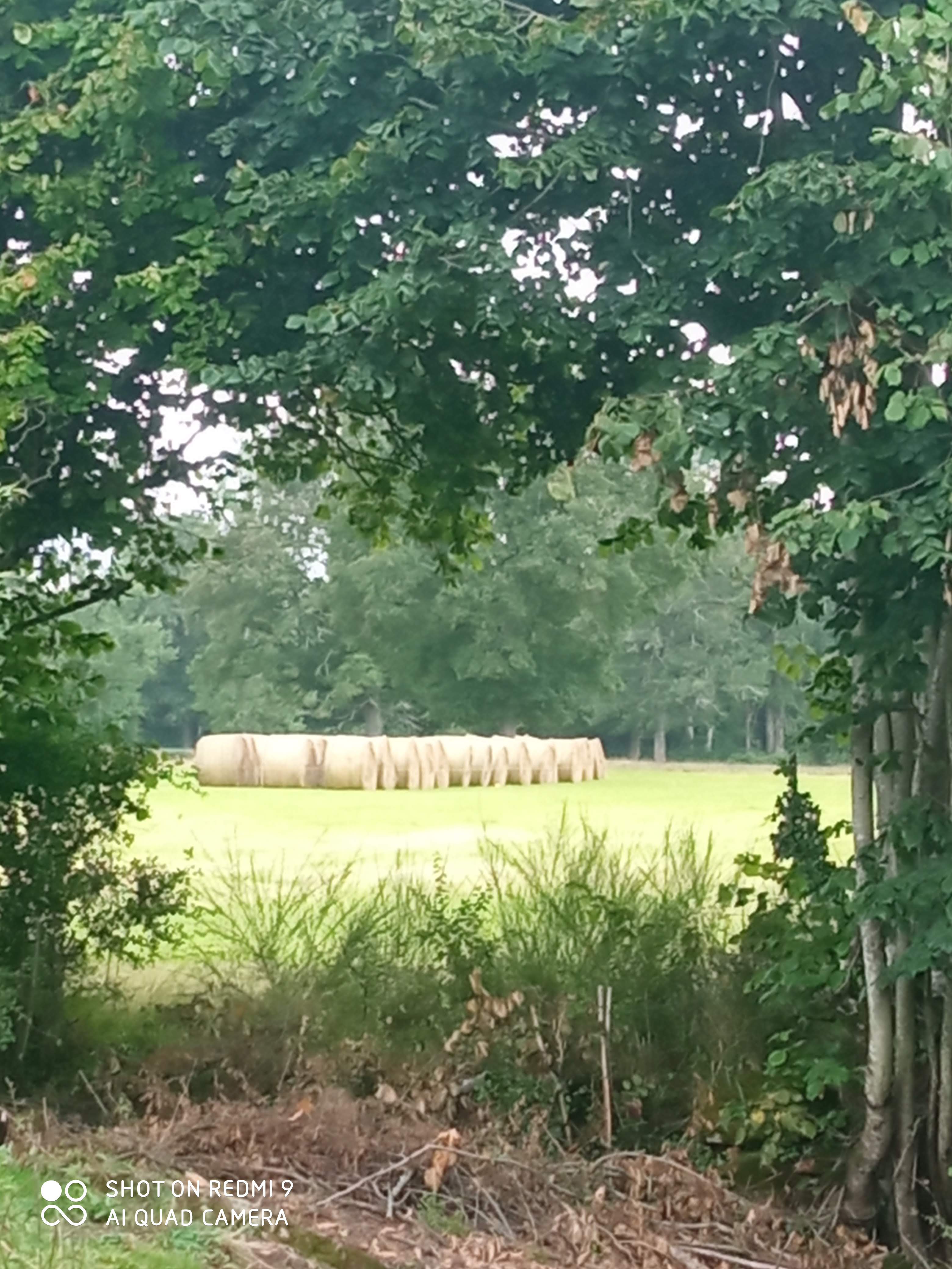 Natuurhuisje in Parsac-Rimondeix