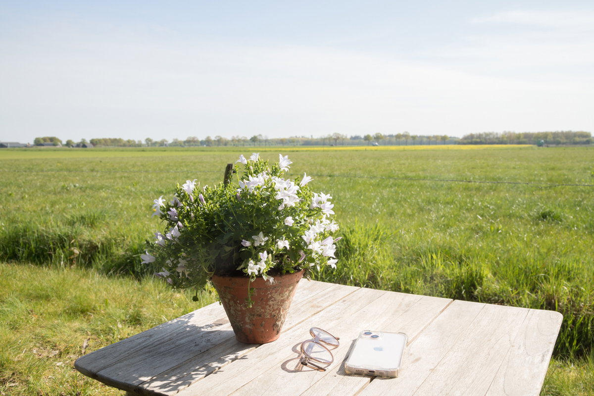 Natuurhuisje in Stegeren
