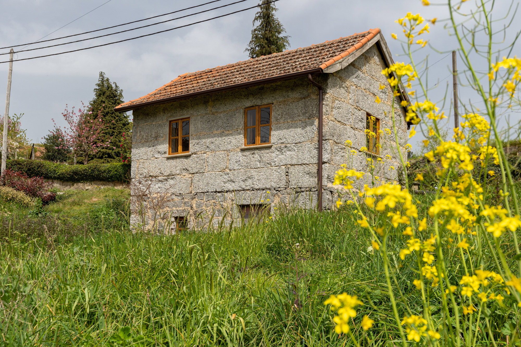 - image: 41