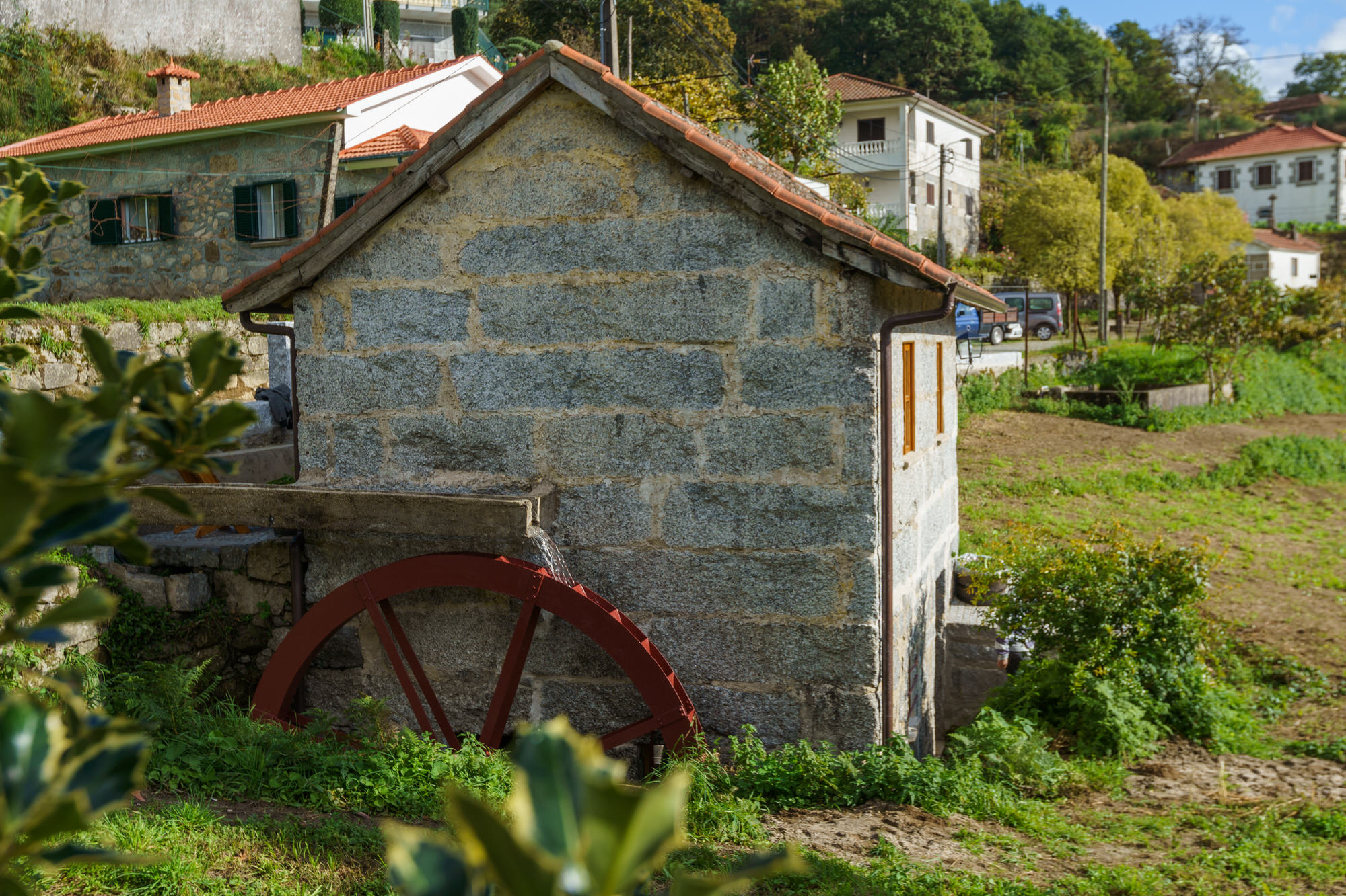 - image: 12