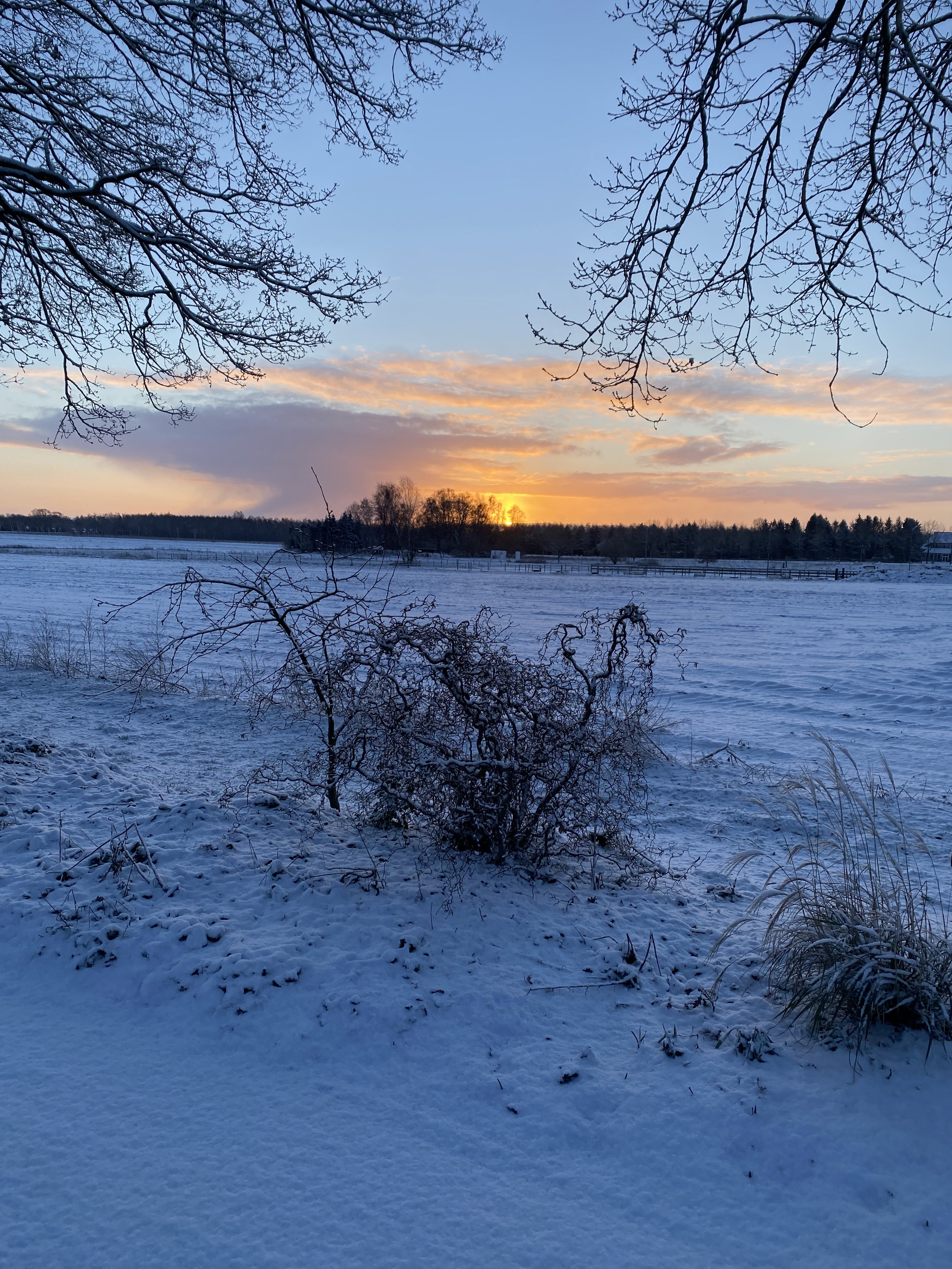 - image: 24