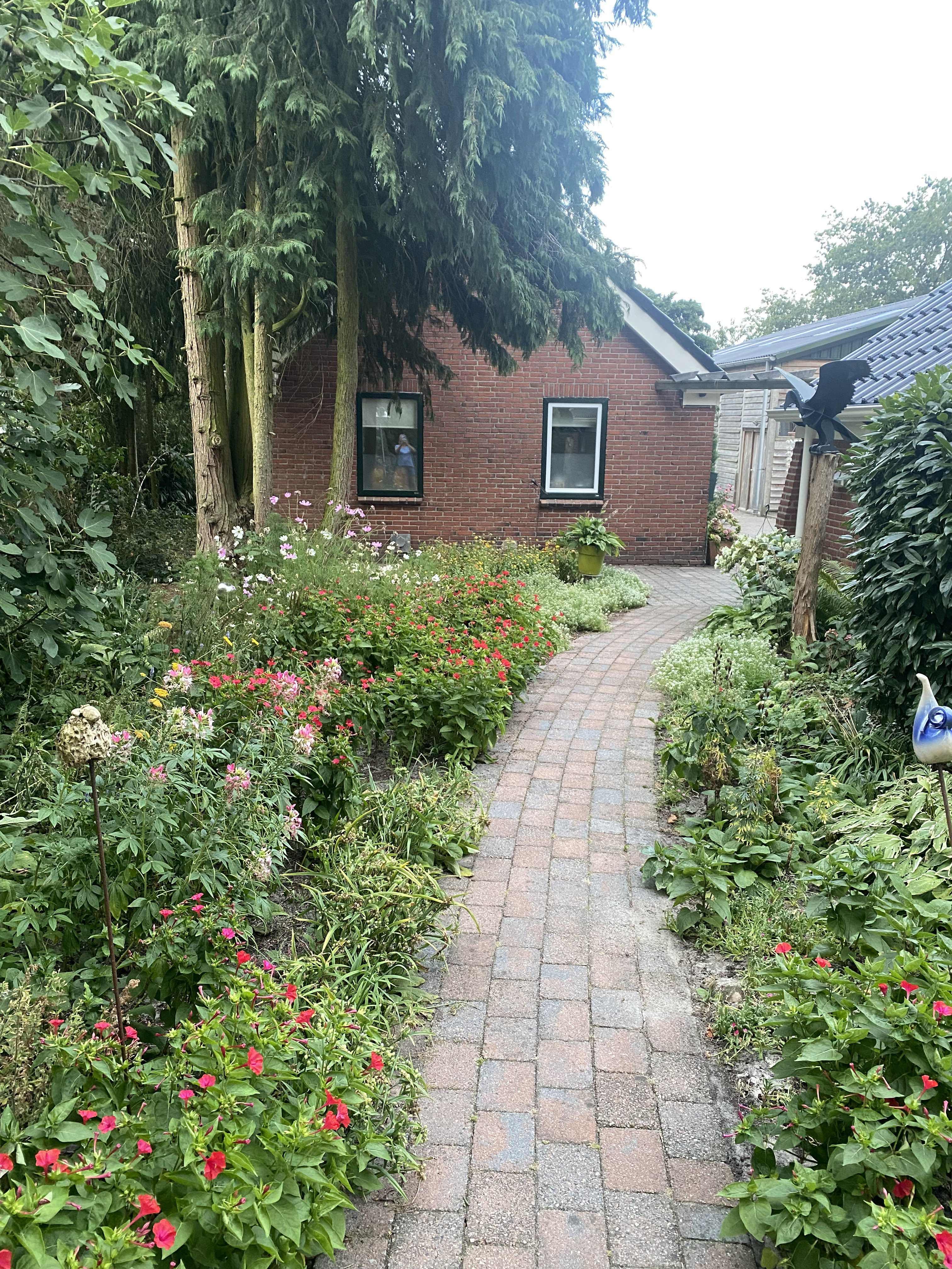 Casa nella natura a Exloo