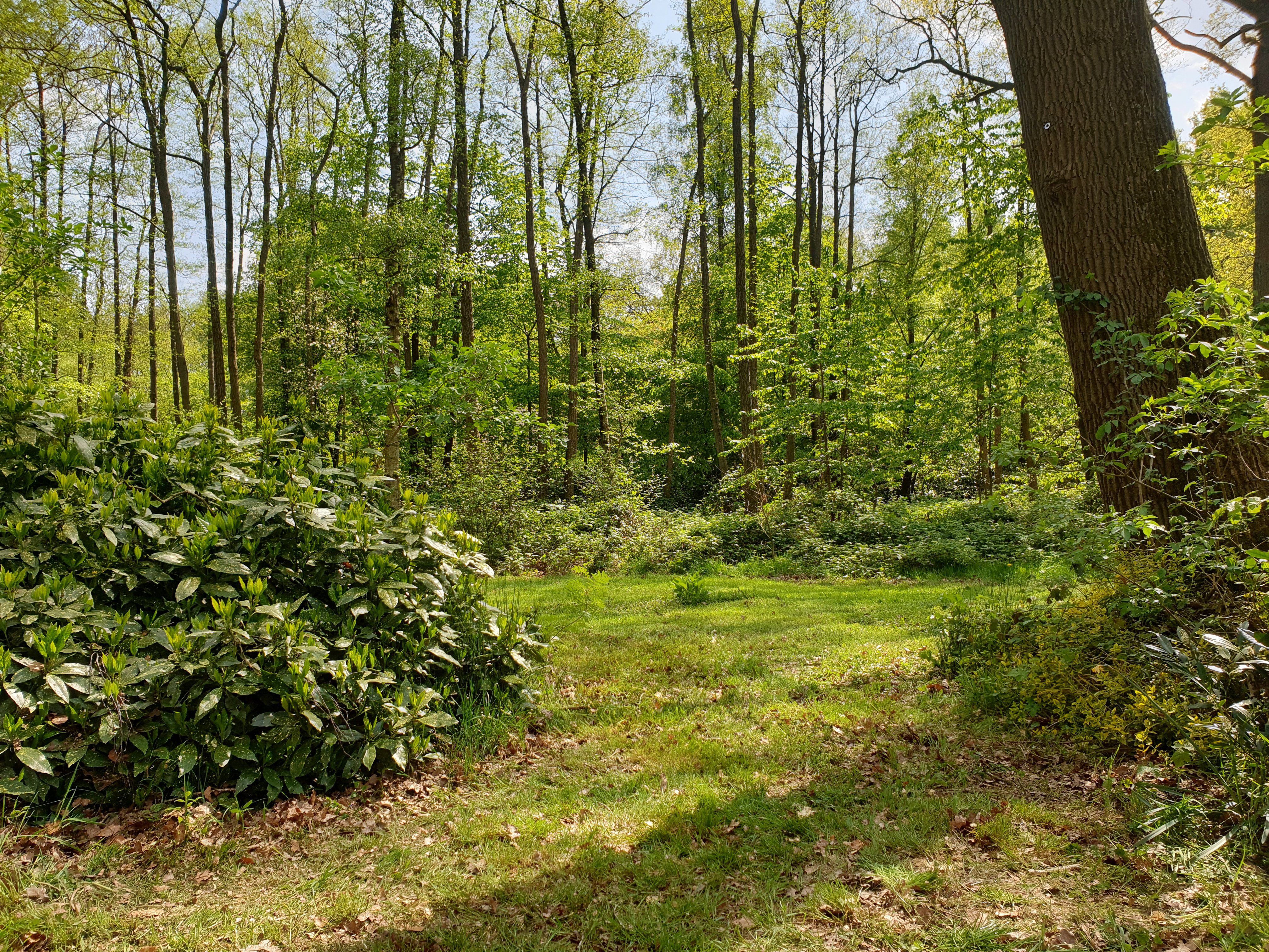 Naturhäuschen in Winterswijk Ratum