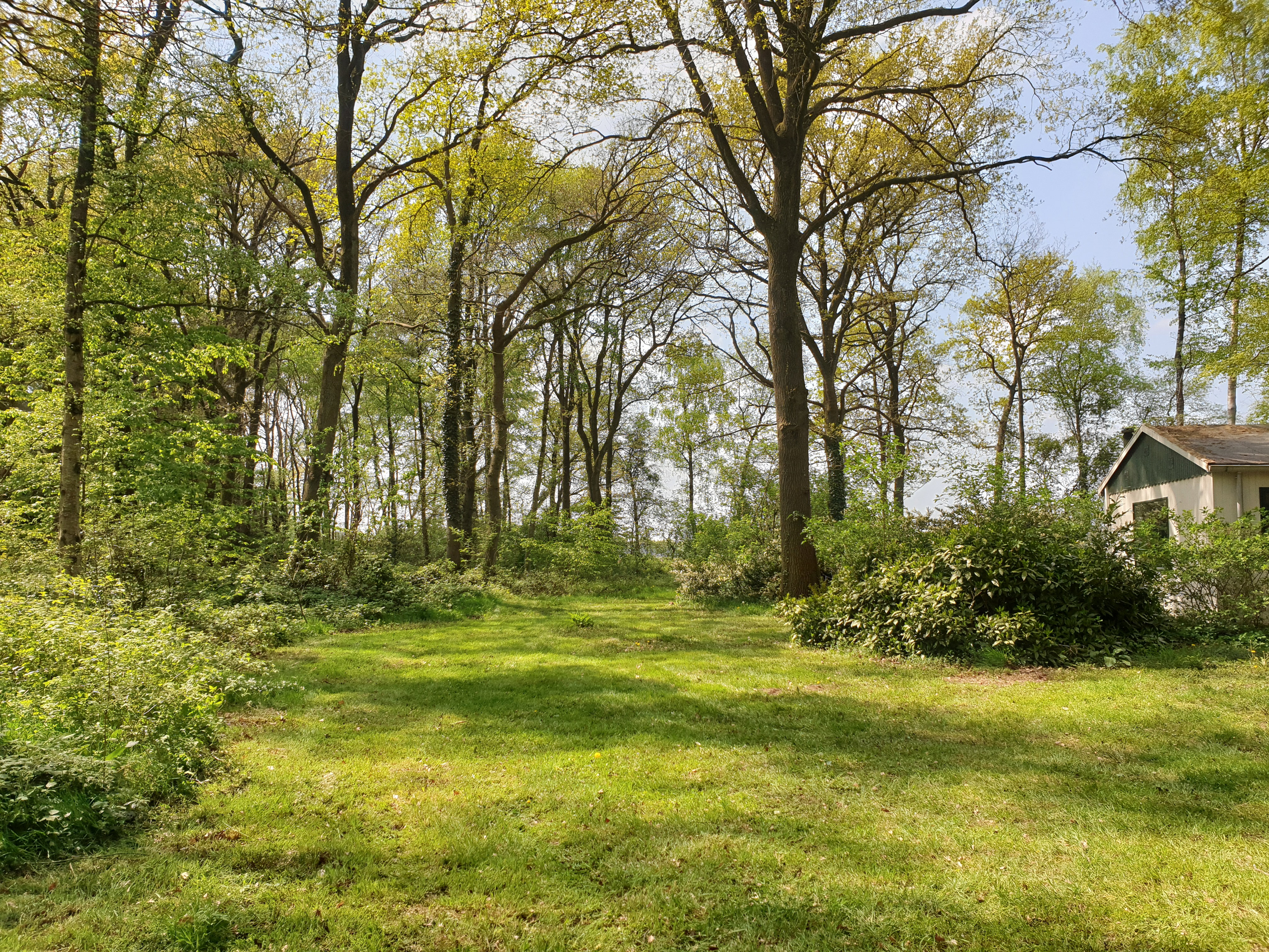 Naturhäuschen in Winterswijk Ratum