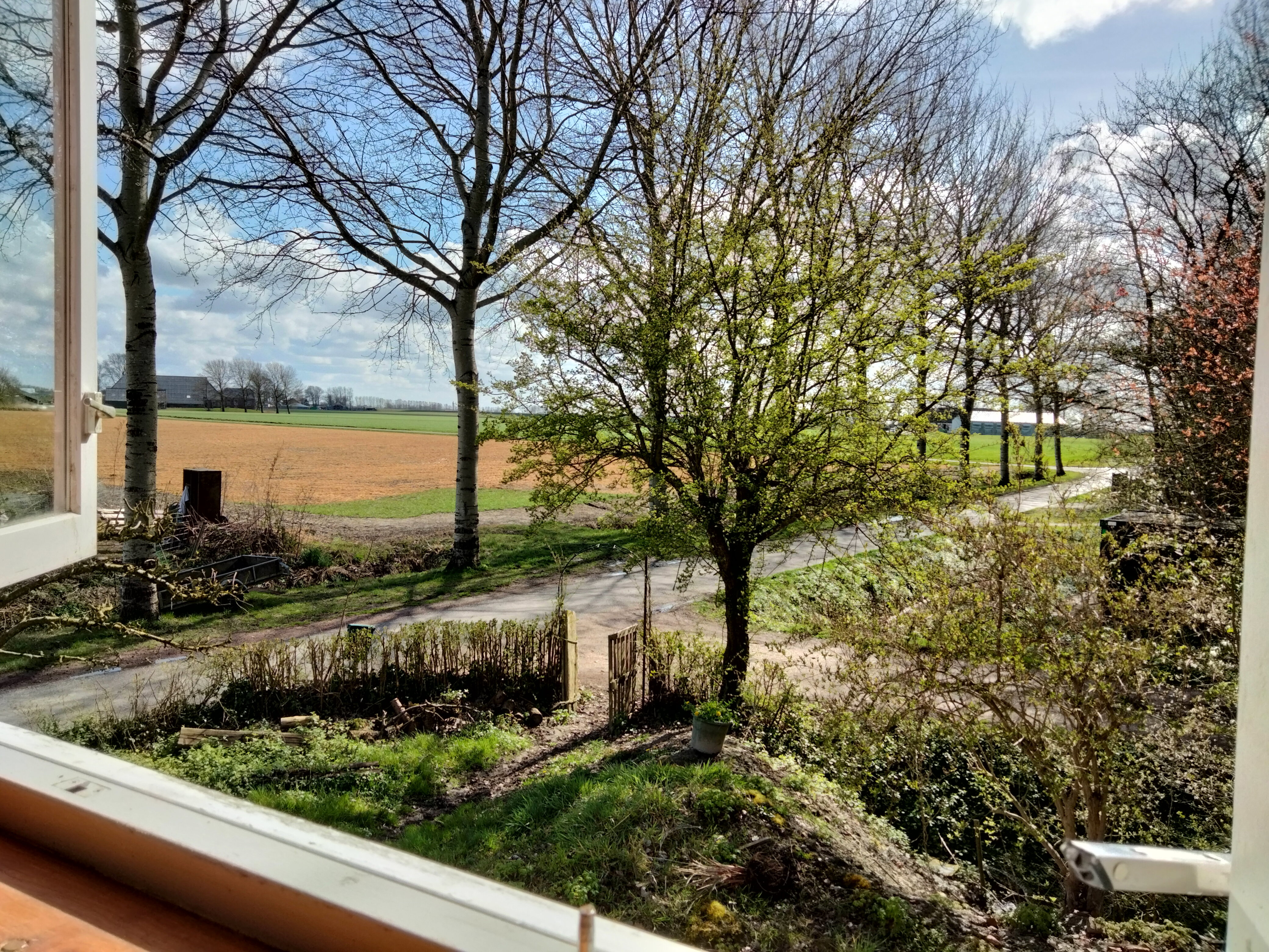 Naturhäuschen in Vierhuizen