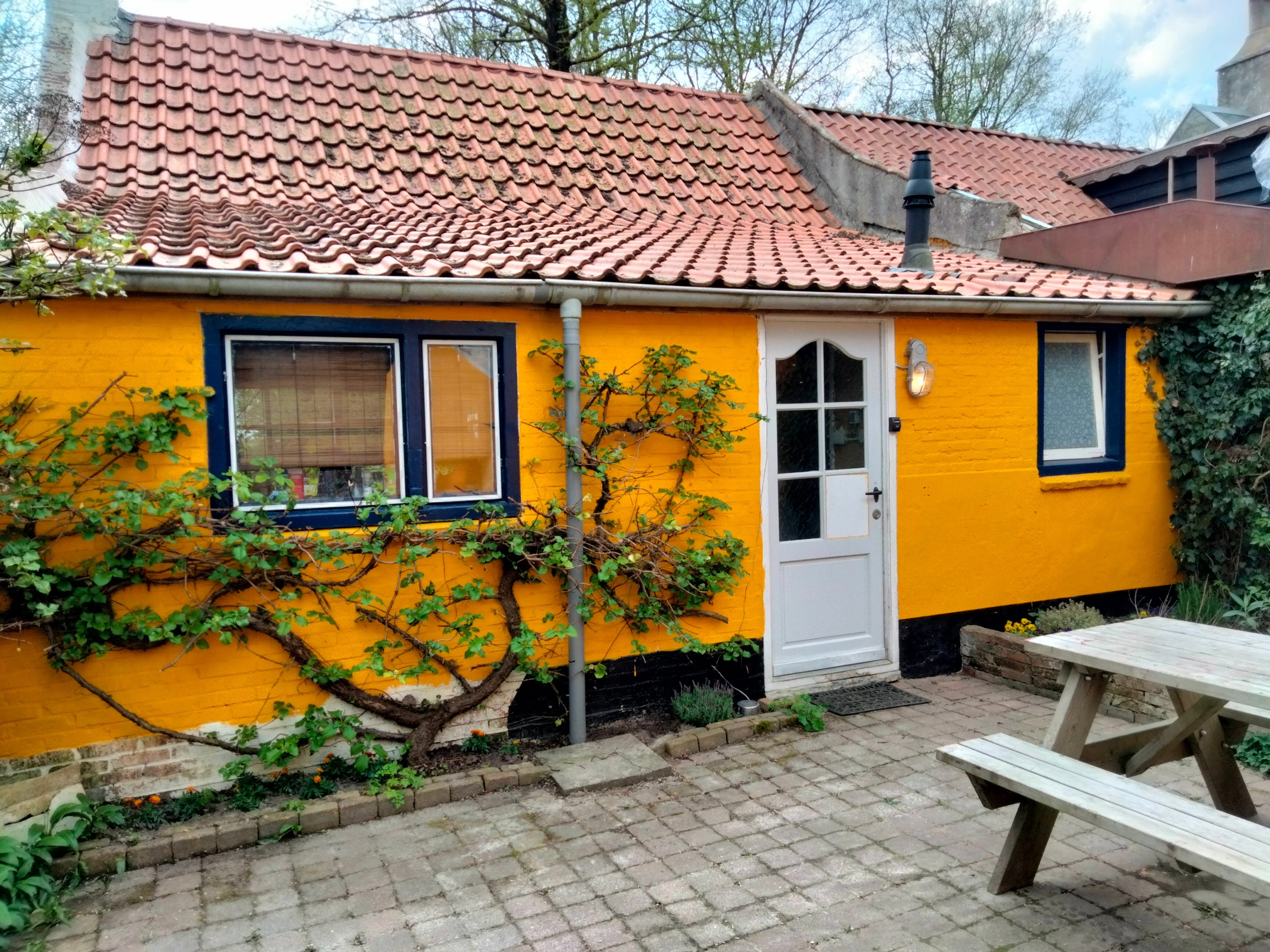 Natuurhuisje in Vierhuizen