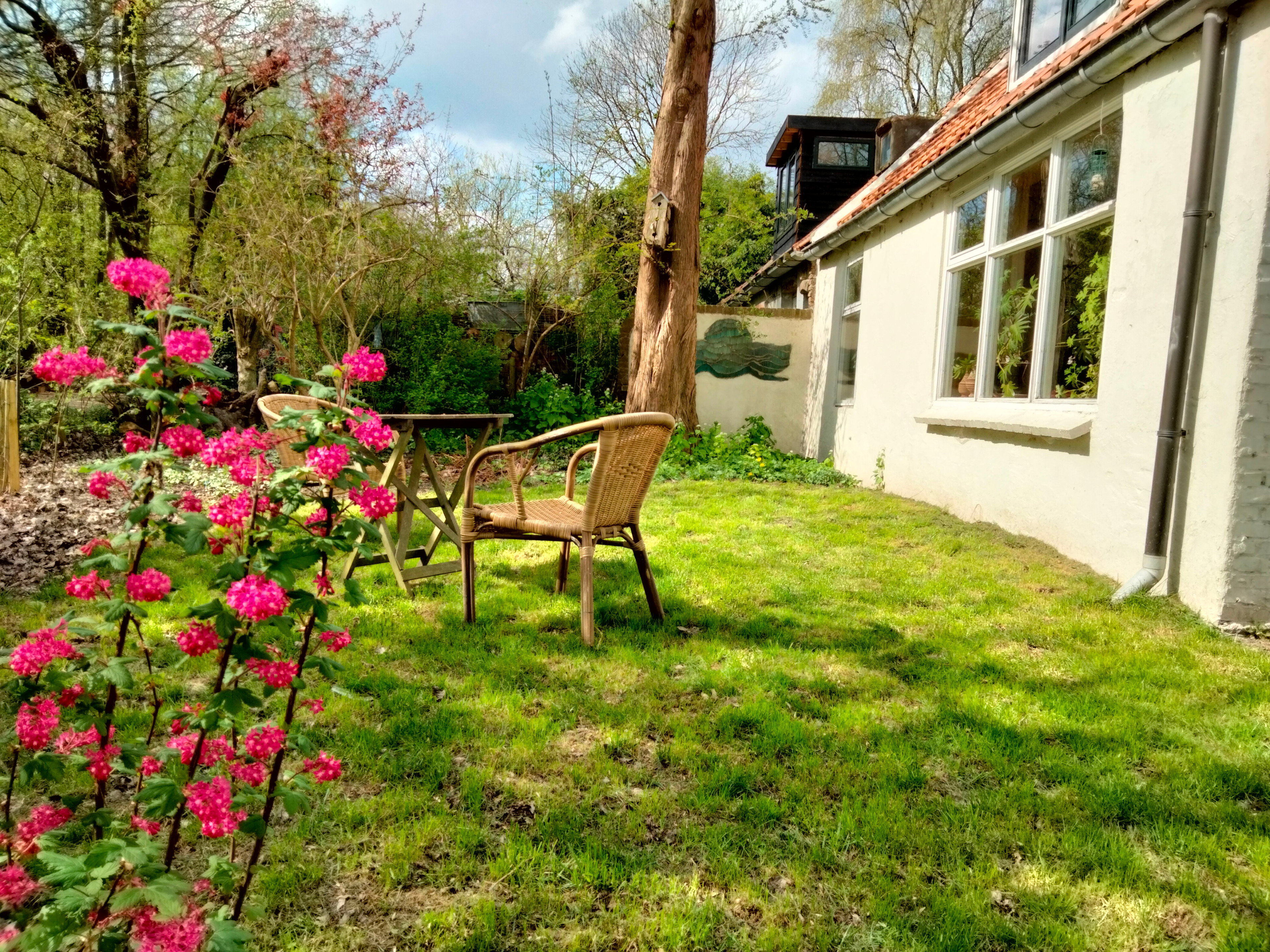 Natuurhuisje in Vierhuizen