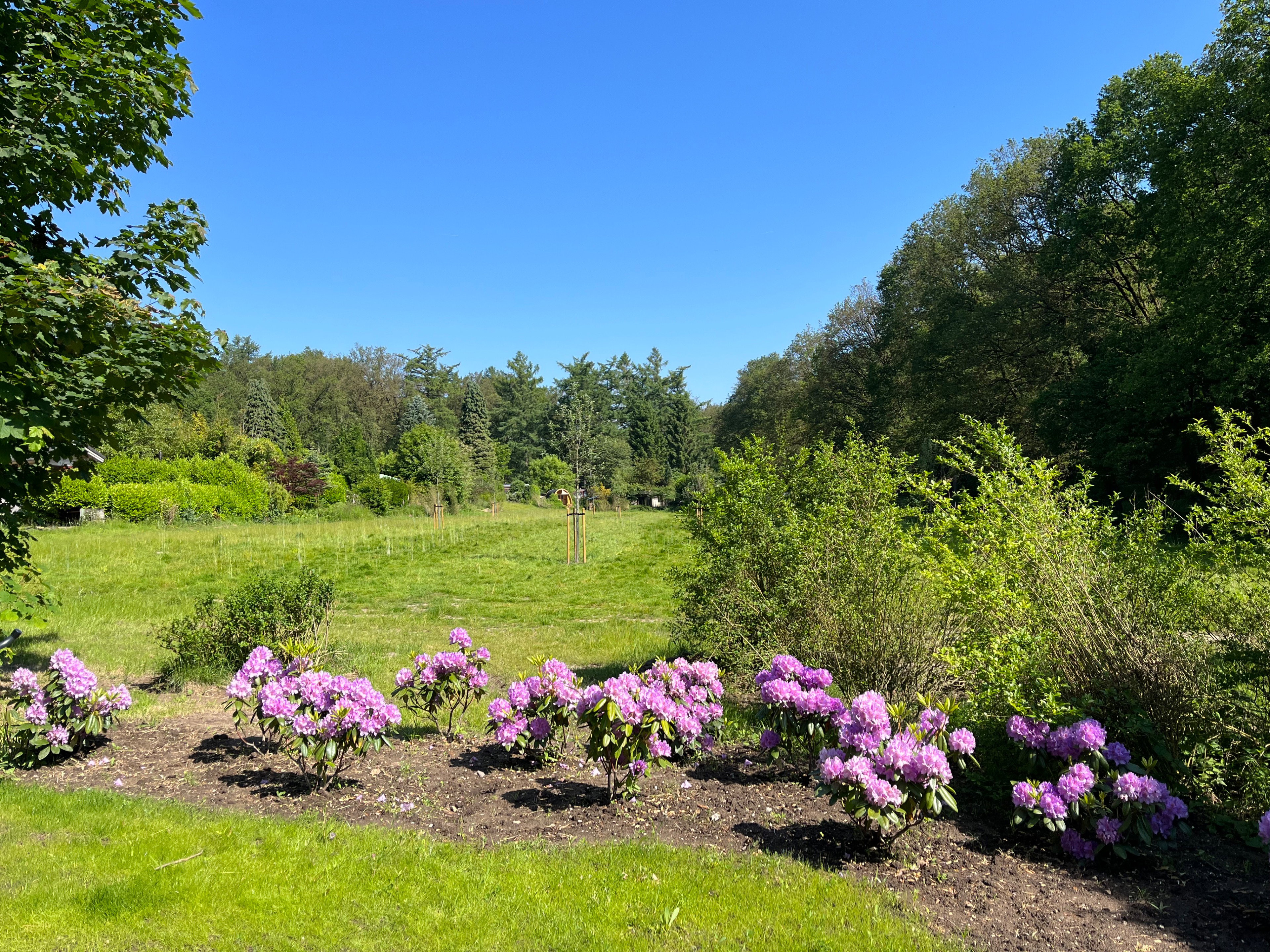 Nature house in Rheden