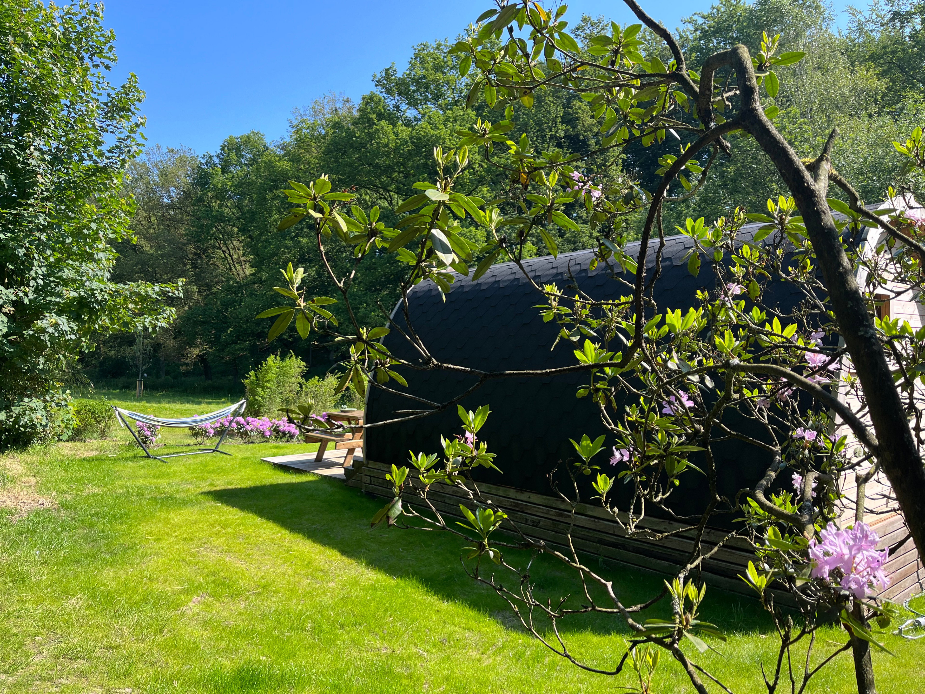 Nature house in Rheden