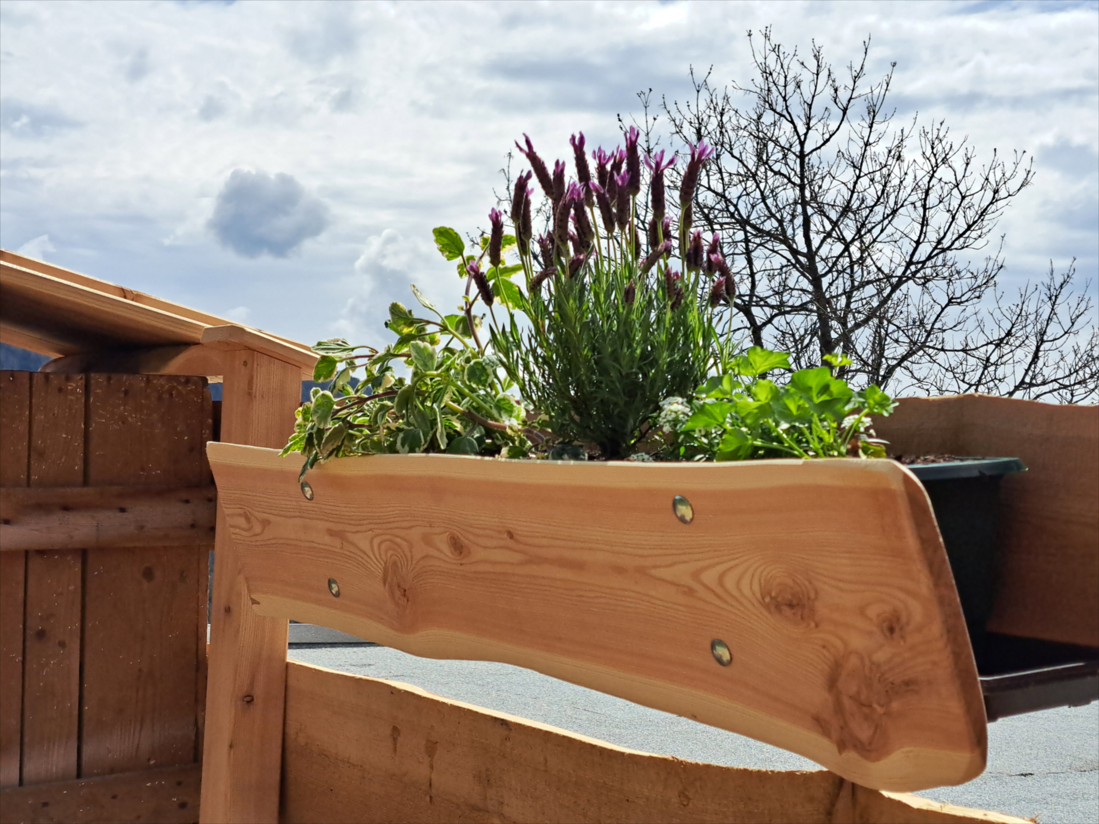 Casa nella natura a Ebene Reichenau