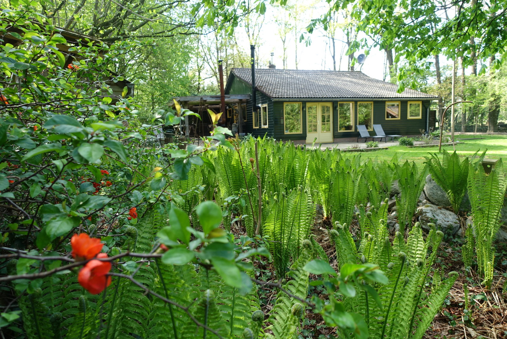 Naturhäuschen in Zuidwolde