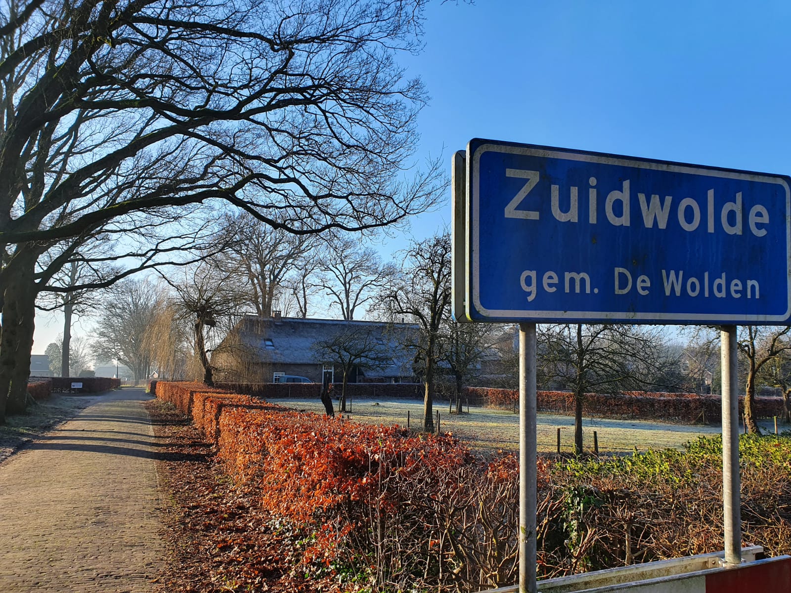 - image: 29