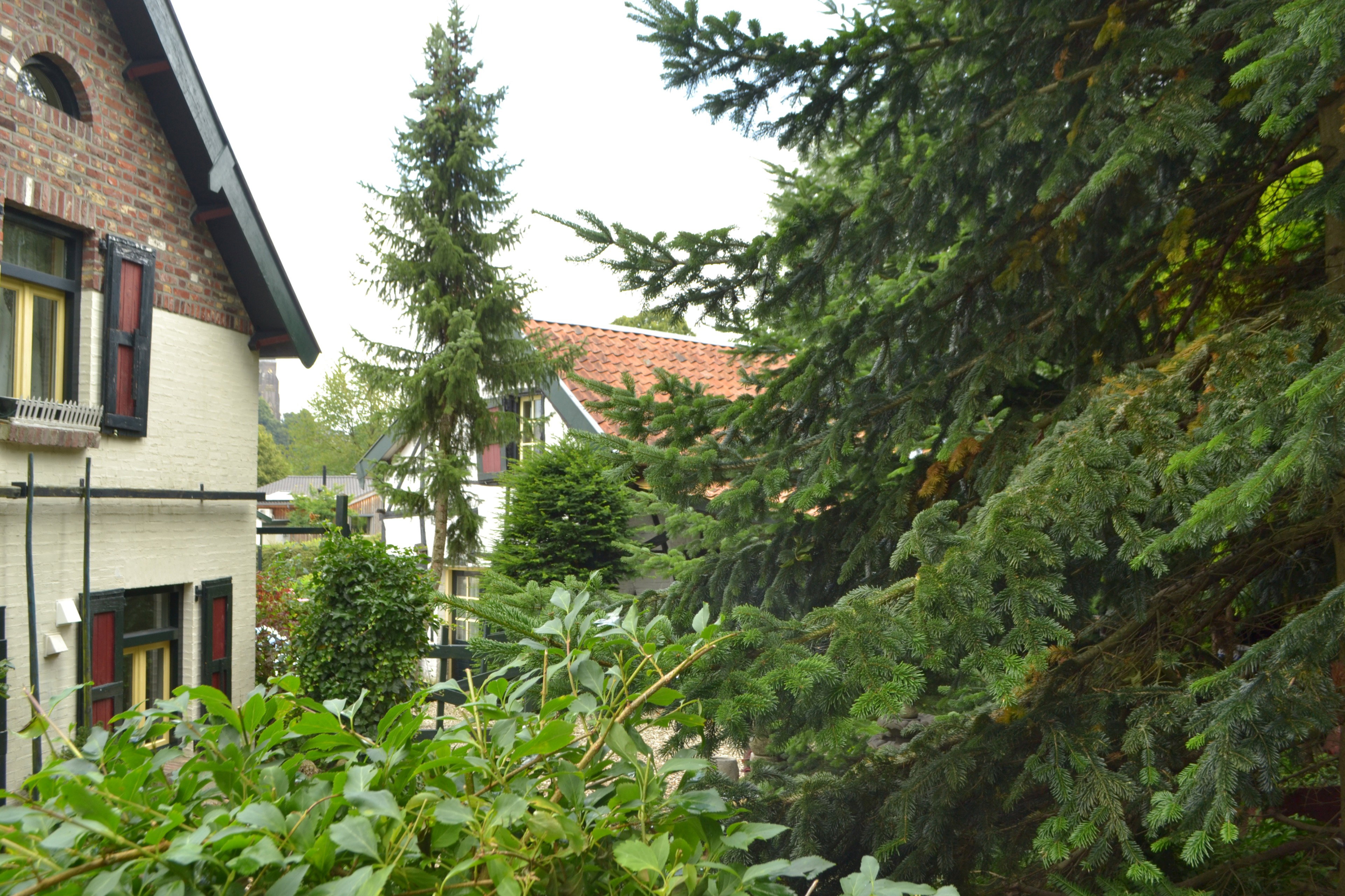 - image: 24